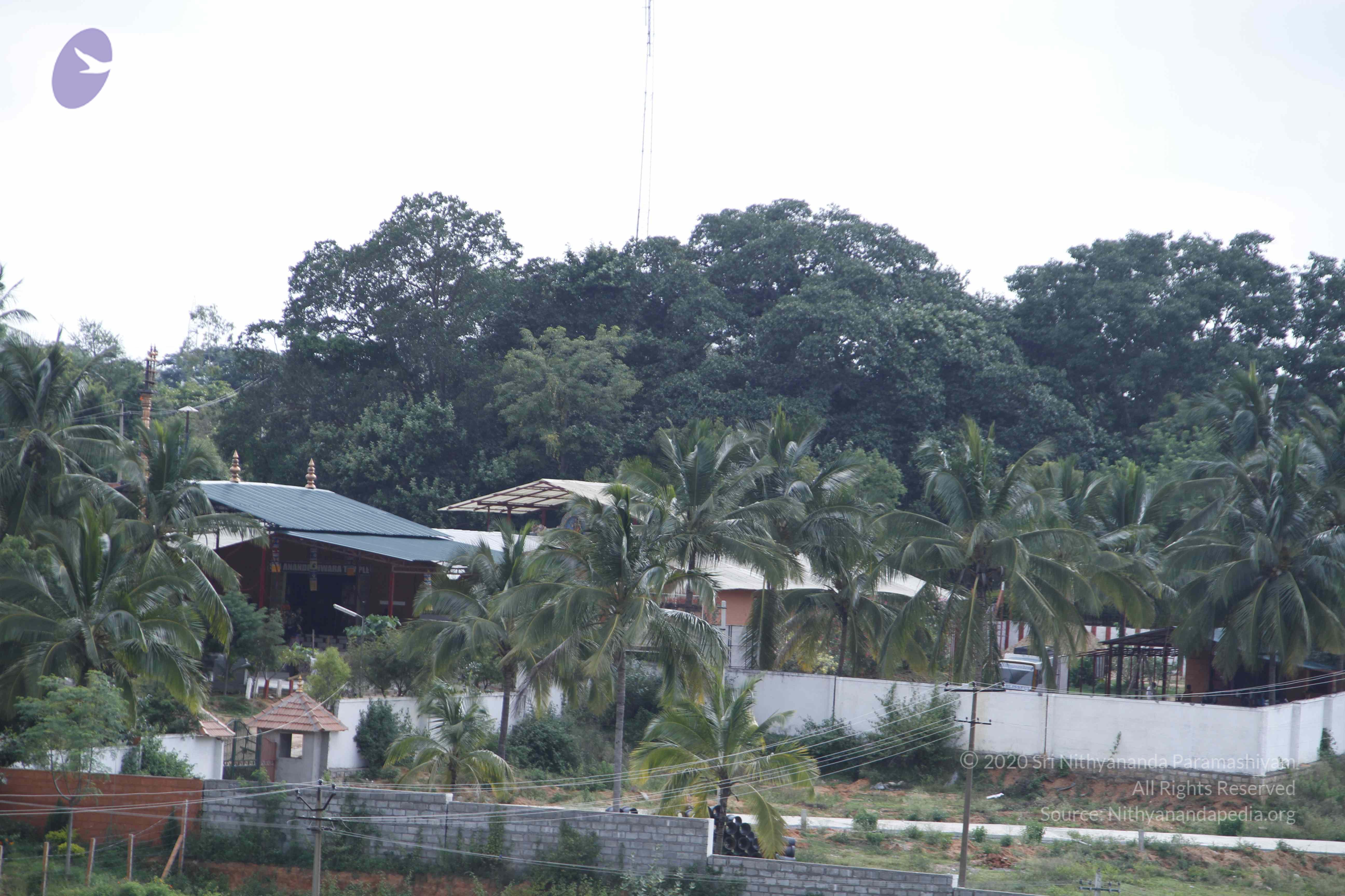 20110811_Photo_1021__MG_9750_CMP_WM