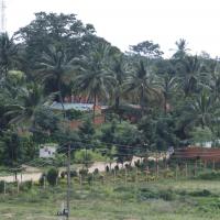 20110811_Photo_1004__MG_9753_CMP_WM