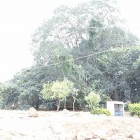 20110811_Photo_1009__MG_9677_CMP_WM