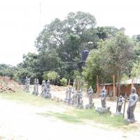 20110811_Photo_1017__MG_9683_CMP_WM