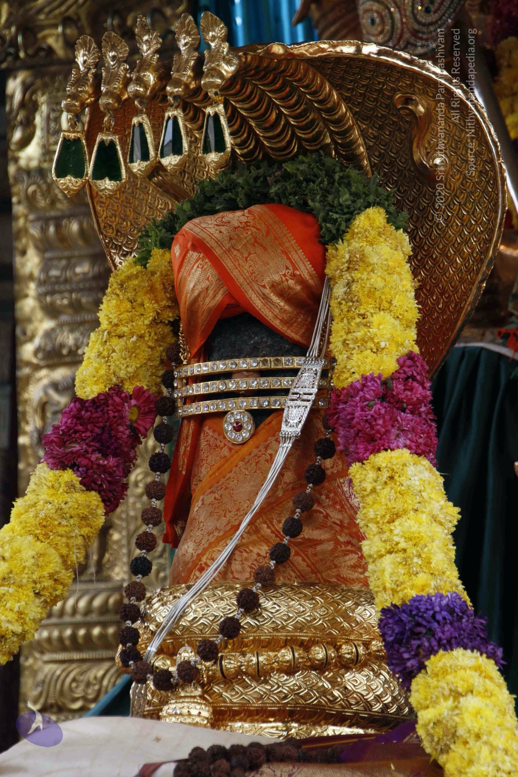 20110813_Photo_1017_18ROJR12RDEeCpnGg36BnbnZkKxjbEA56