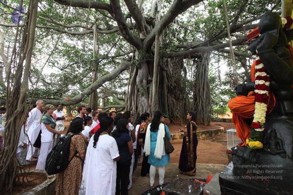 2011-08aug-19-nithyananda-photo-ia-day-1-04c-banyan-tree_CMP_WM