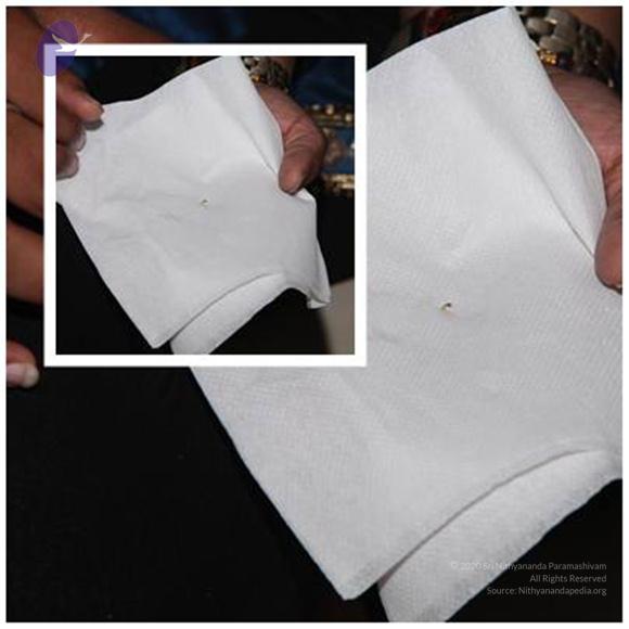 2011-08aug-19-nithyananda-photo-ia-day-1-05d-moon-mineral-materialization_CMP_WM