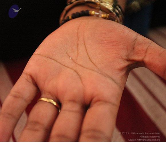 2011-08aug-19-nithyananda-photo-ia-day-1-05e-diamond-materialization_CMP_WM