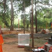 2011-08aug-19-nithyananda-photo-01c-anandeshwara-dakshinamurthy-banyan-tree-bidadi_CMP_WM