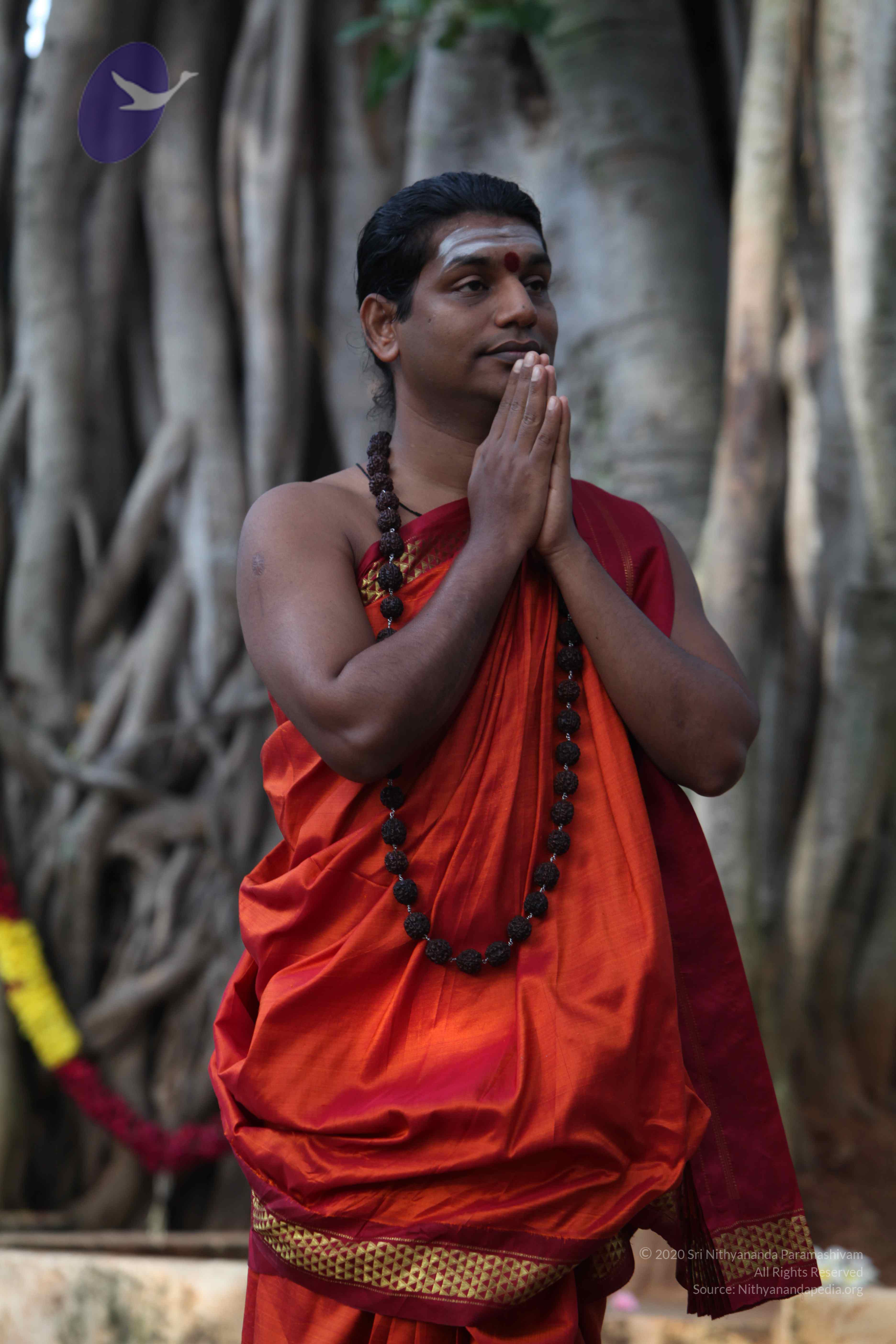 20110828_Photo_1000_IMG_0110_CMP_WM