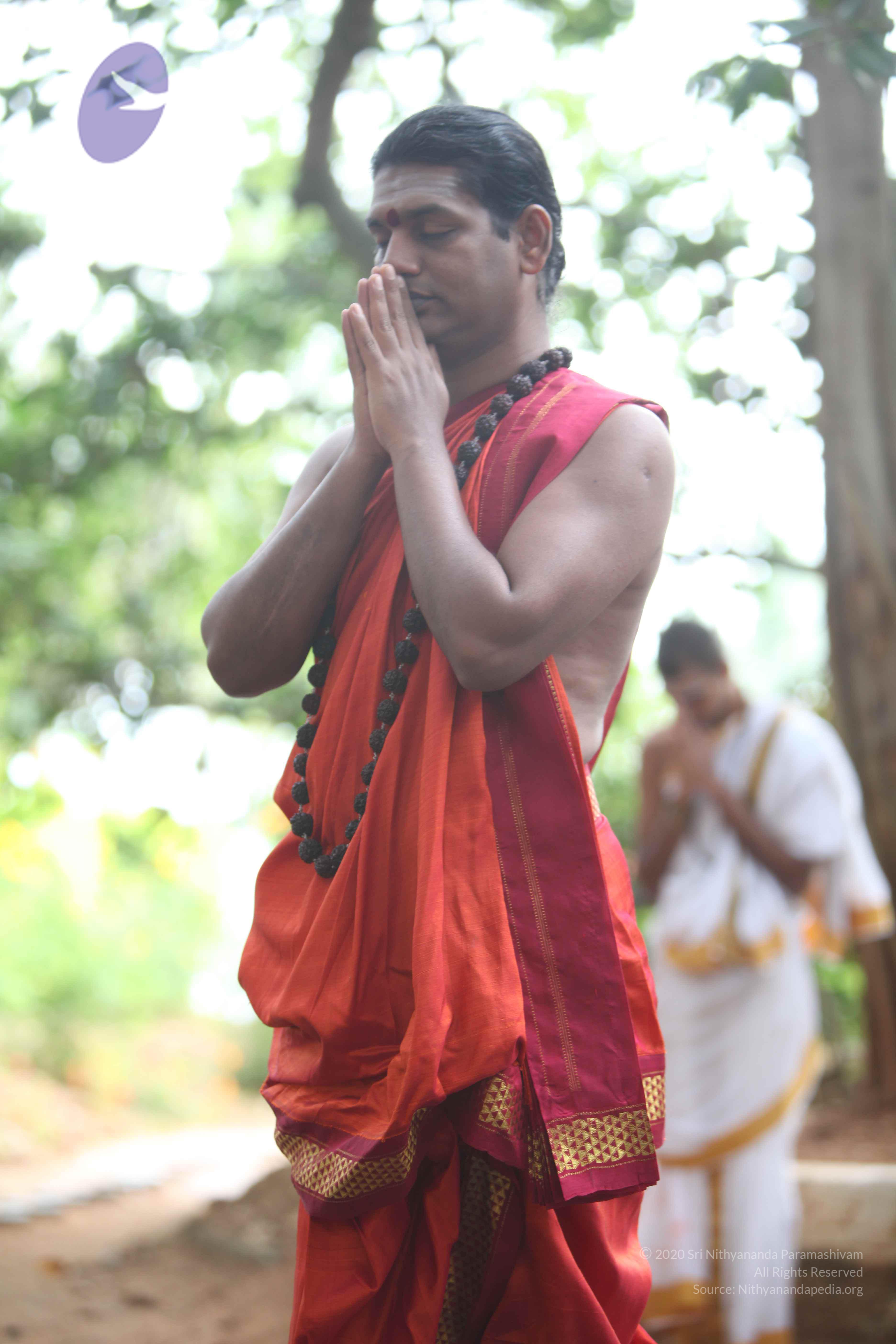 20110828_Photo_1004_IMG_0112_CMP_WM