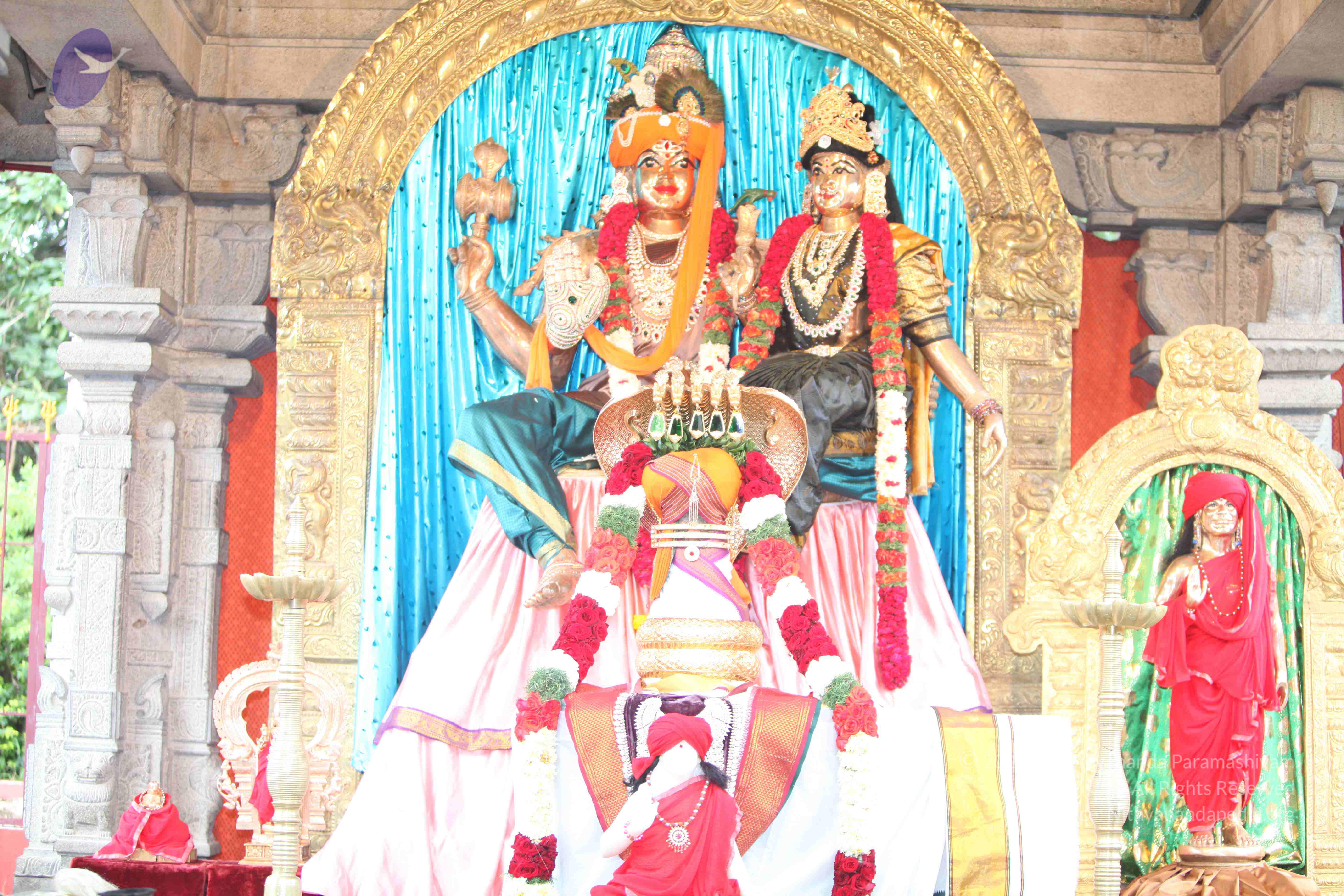 20110828_Photo_1015_IMG_0102_CMP_WM