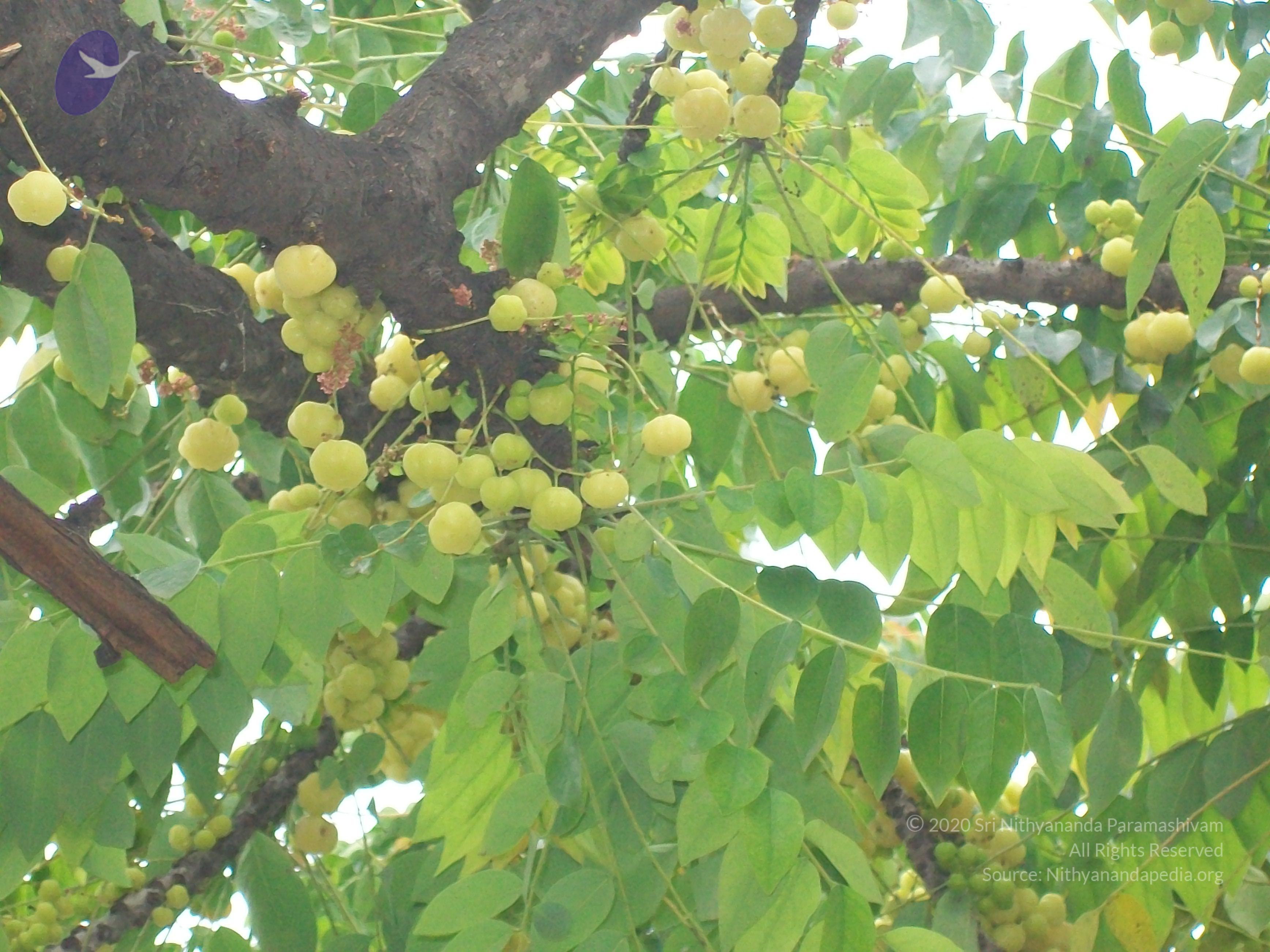 20110828_Photo_1003_100_1009_CMP_WM