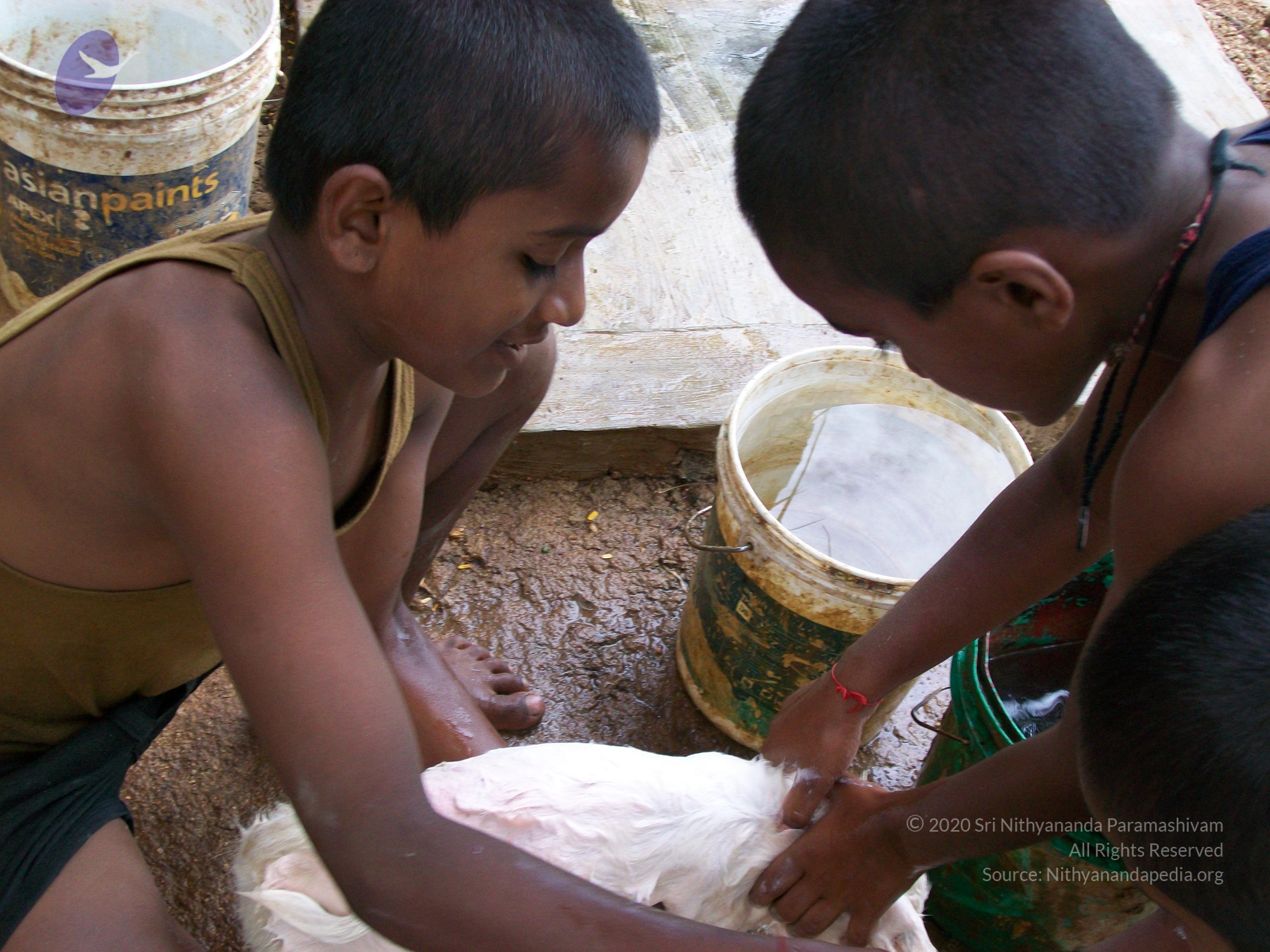 20110828_Photo_1004_100_0975_CMP_WM