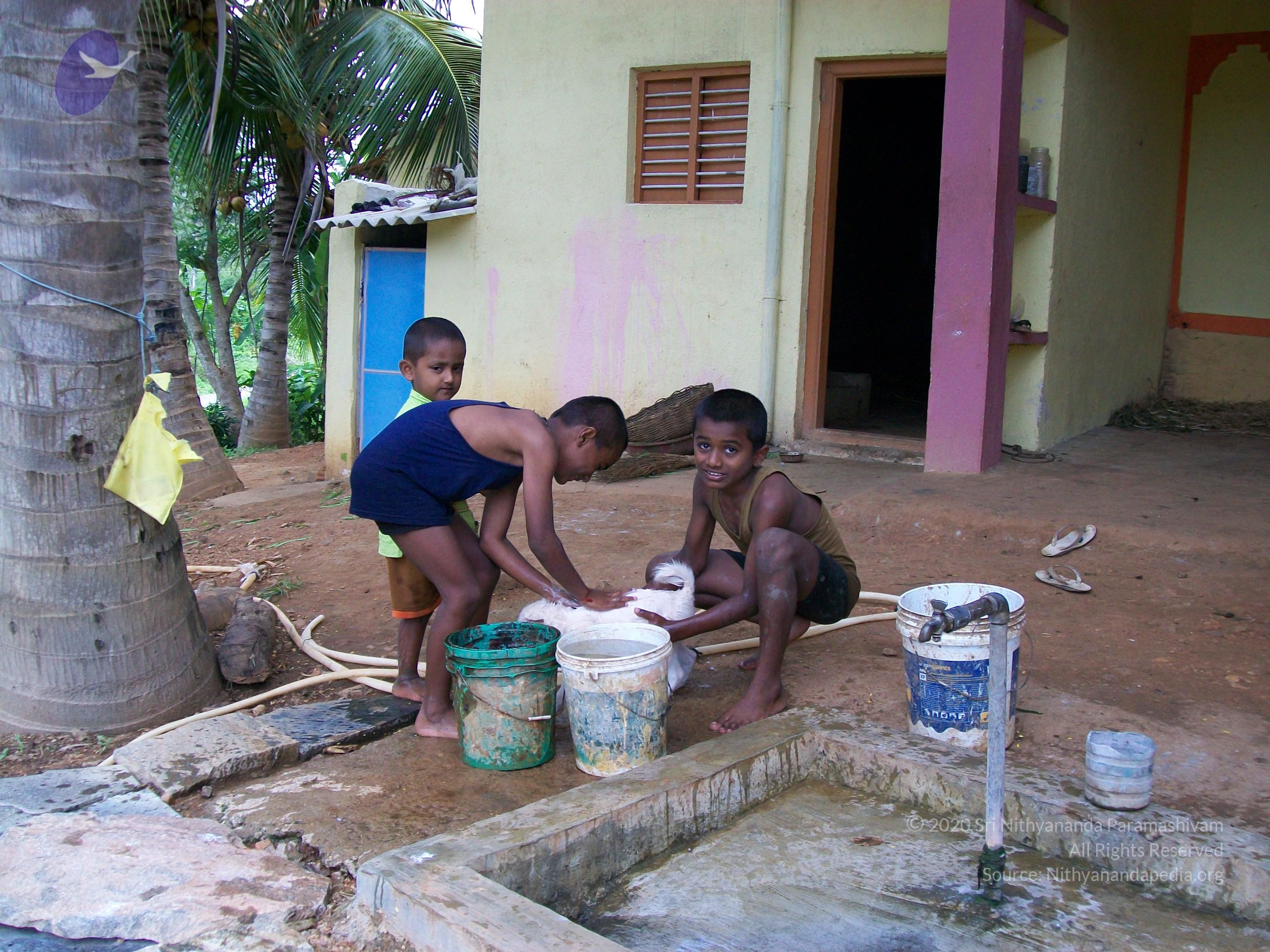 20110828_Photo_1005_100_0969_CMP_WM