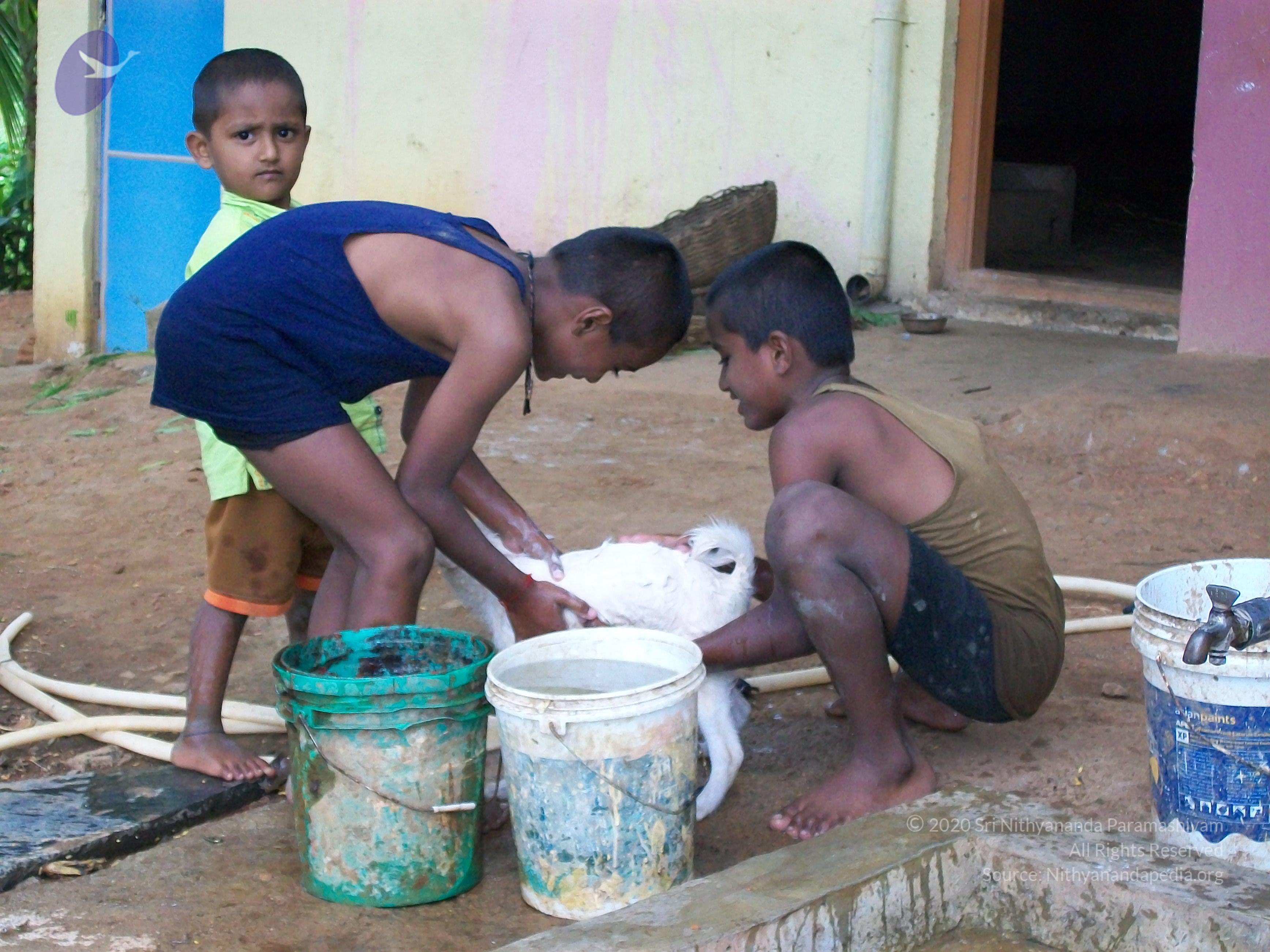 20110828_Photo_1008_100_0970_CMP_WM