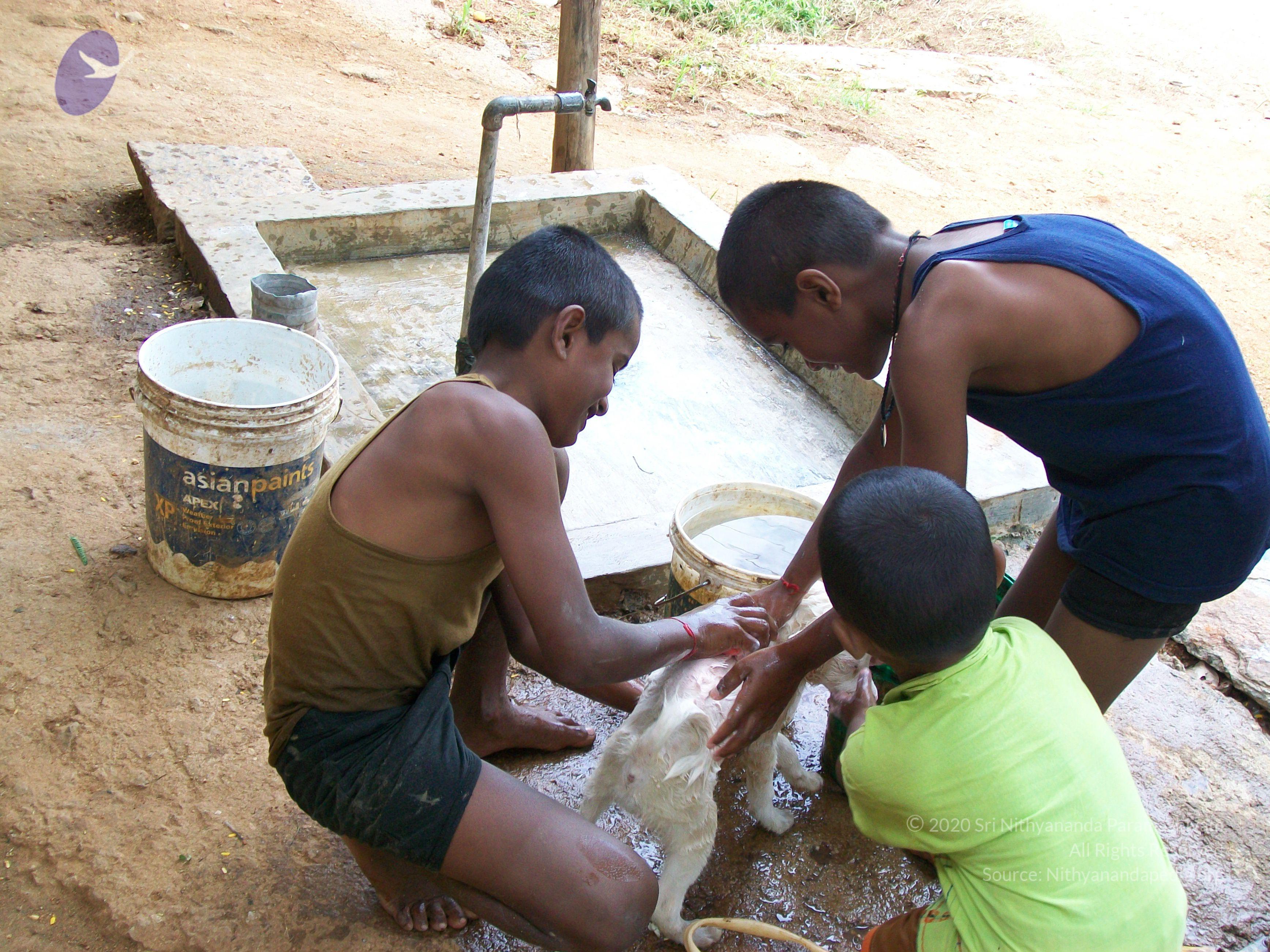 20110828_Photo_1024_100_0971_CMP_WM