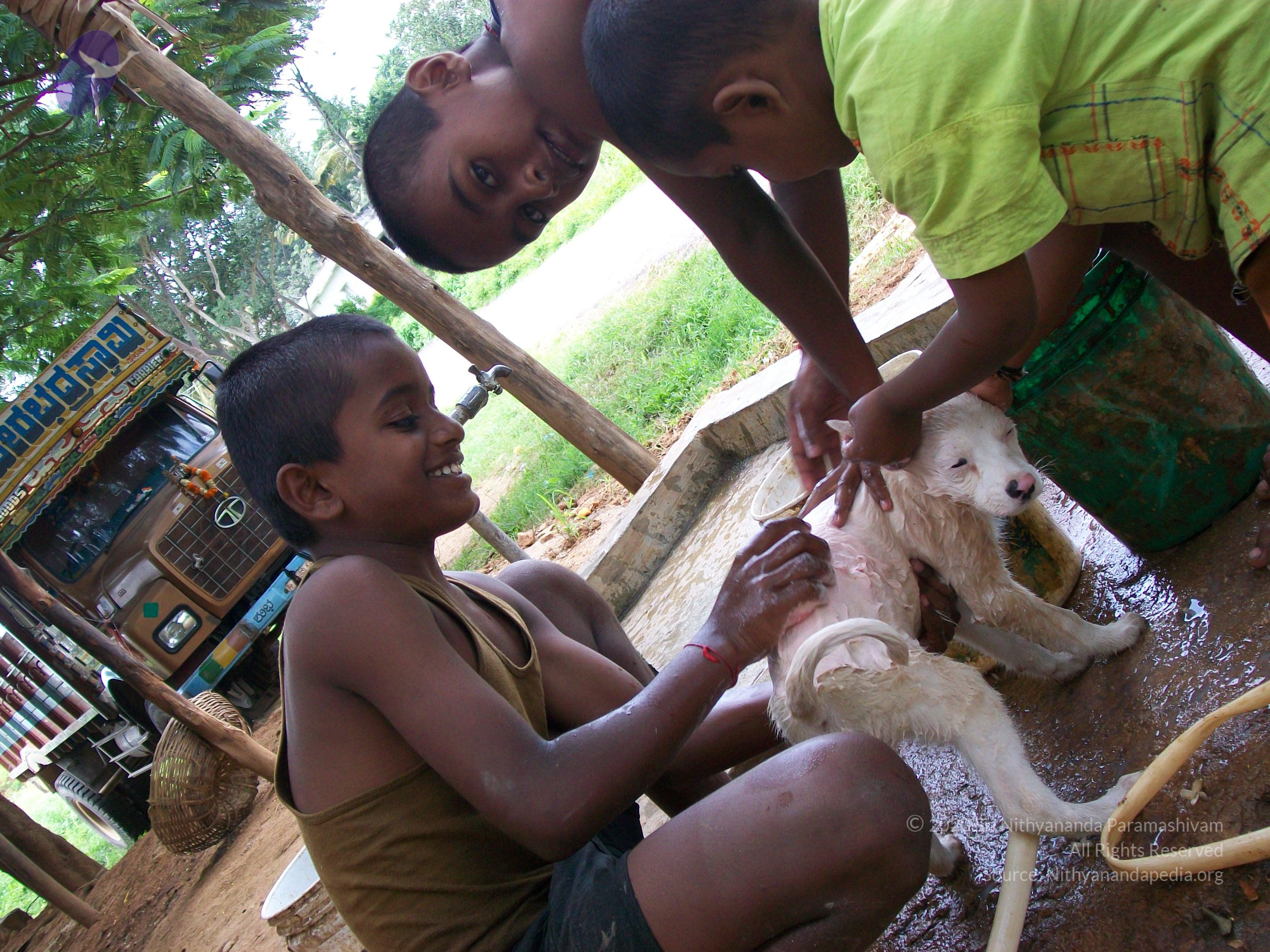 20110828_Photo_1032_100_0974_CMP_WM