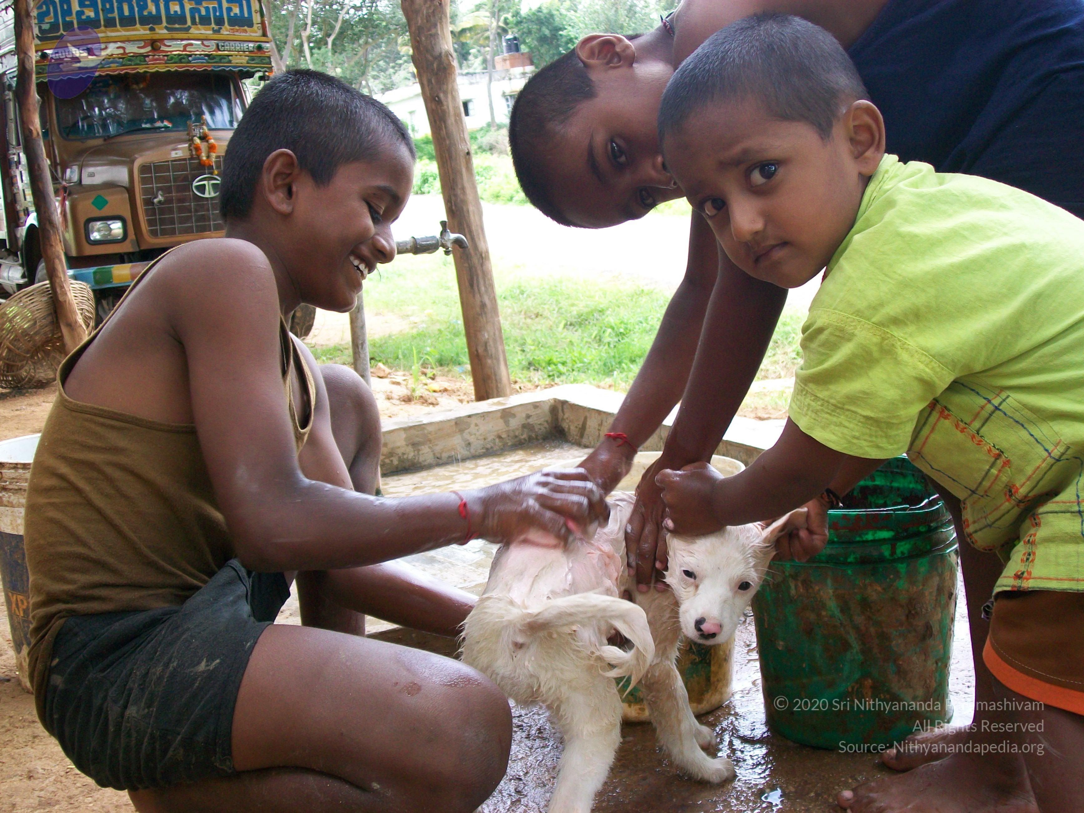 20110828_Photo_1038_100_0973_CMP_WM