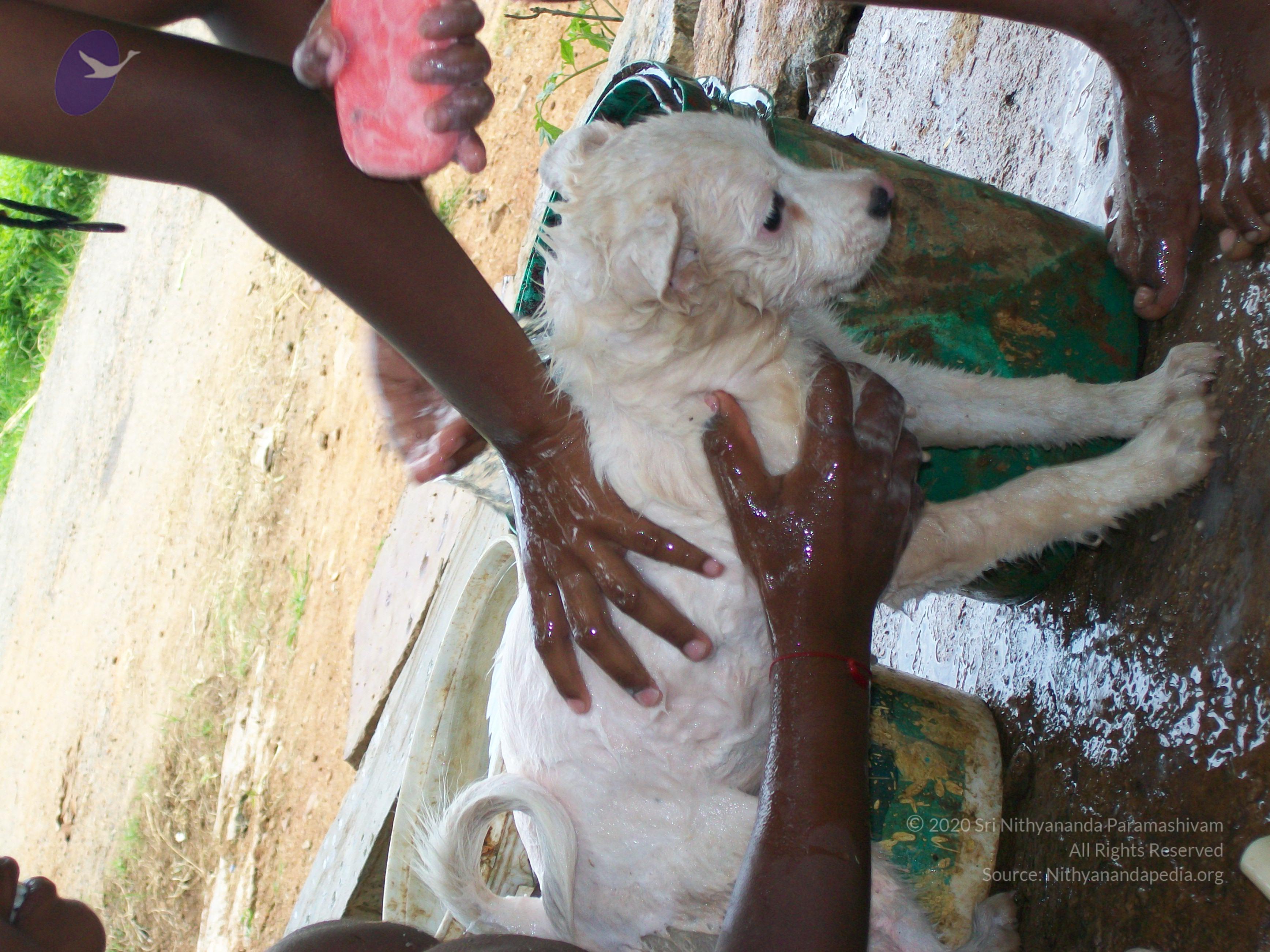 20110828_Photo_1044_100_0976_CMP_WM