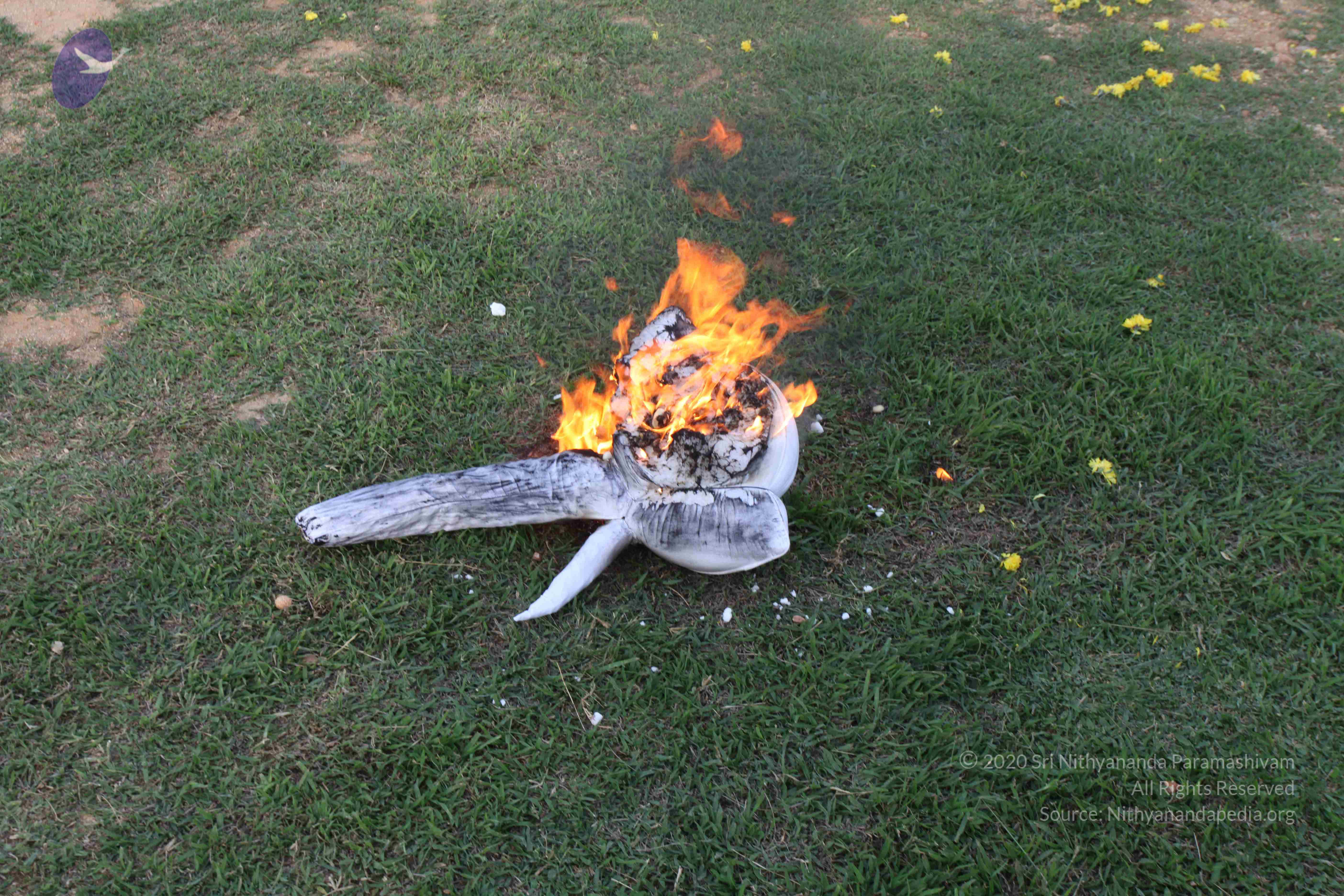 20110828_Photo_1008_IMG_1065_CMP_WM