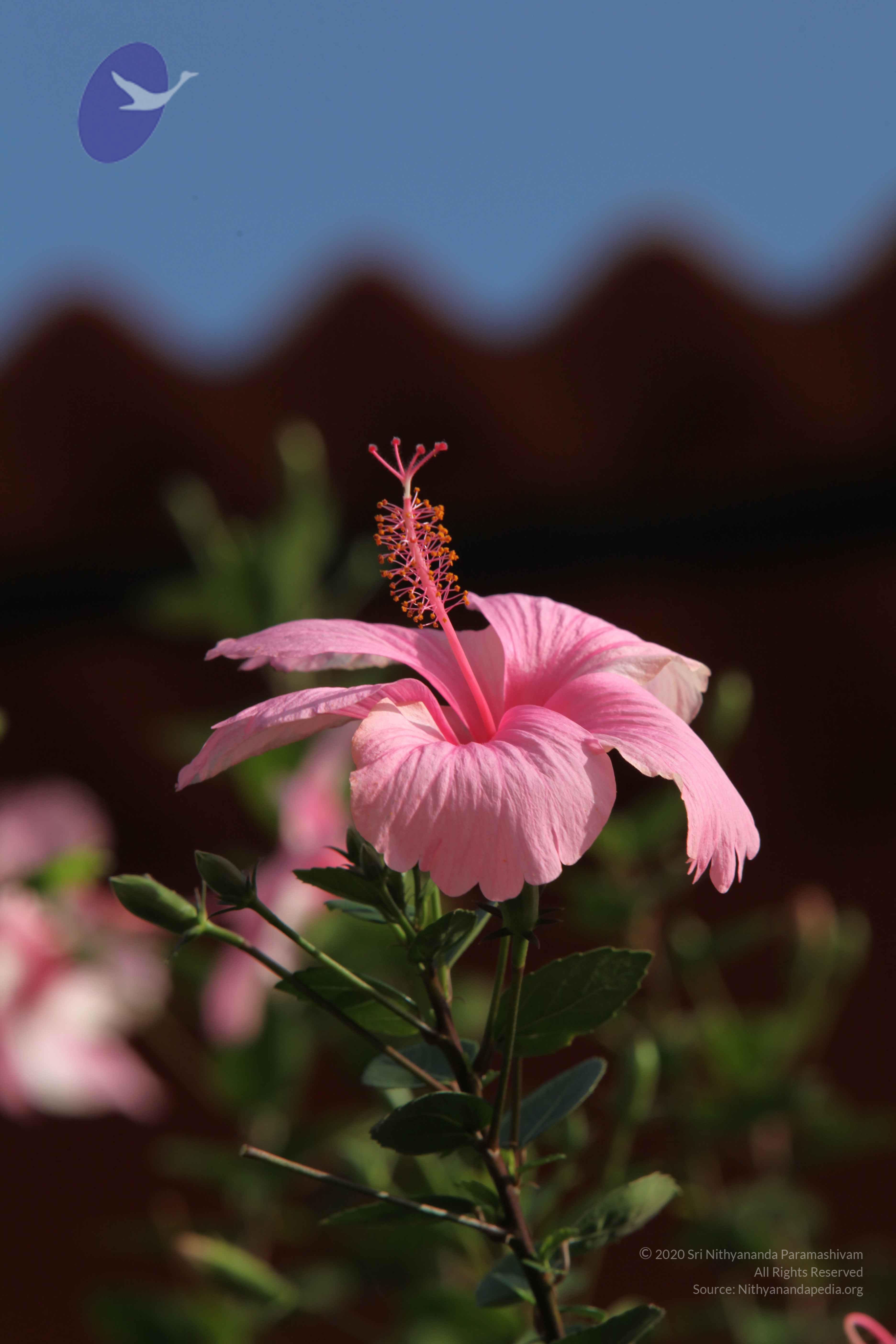 20110828_Photo_1034_IMG_0952_CMP_WM