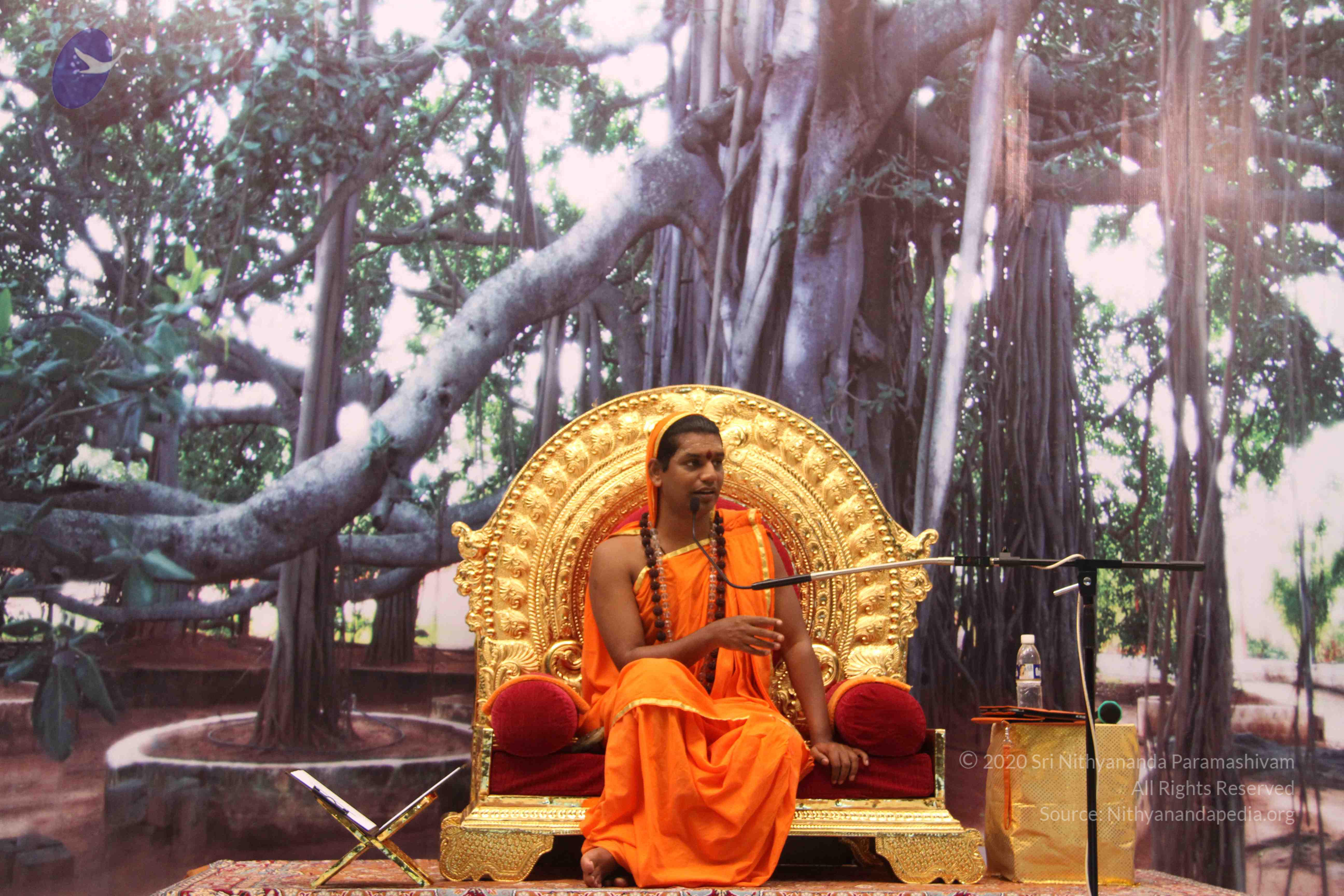 20110828_Photo_1013_IMG_1325_CMP_WM