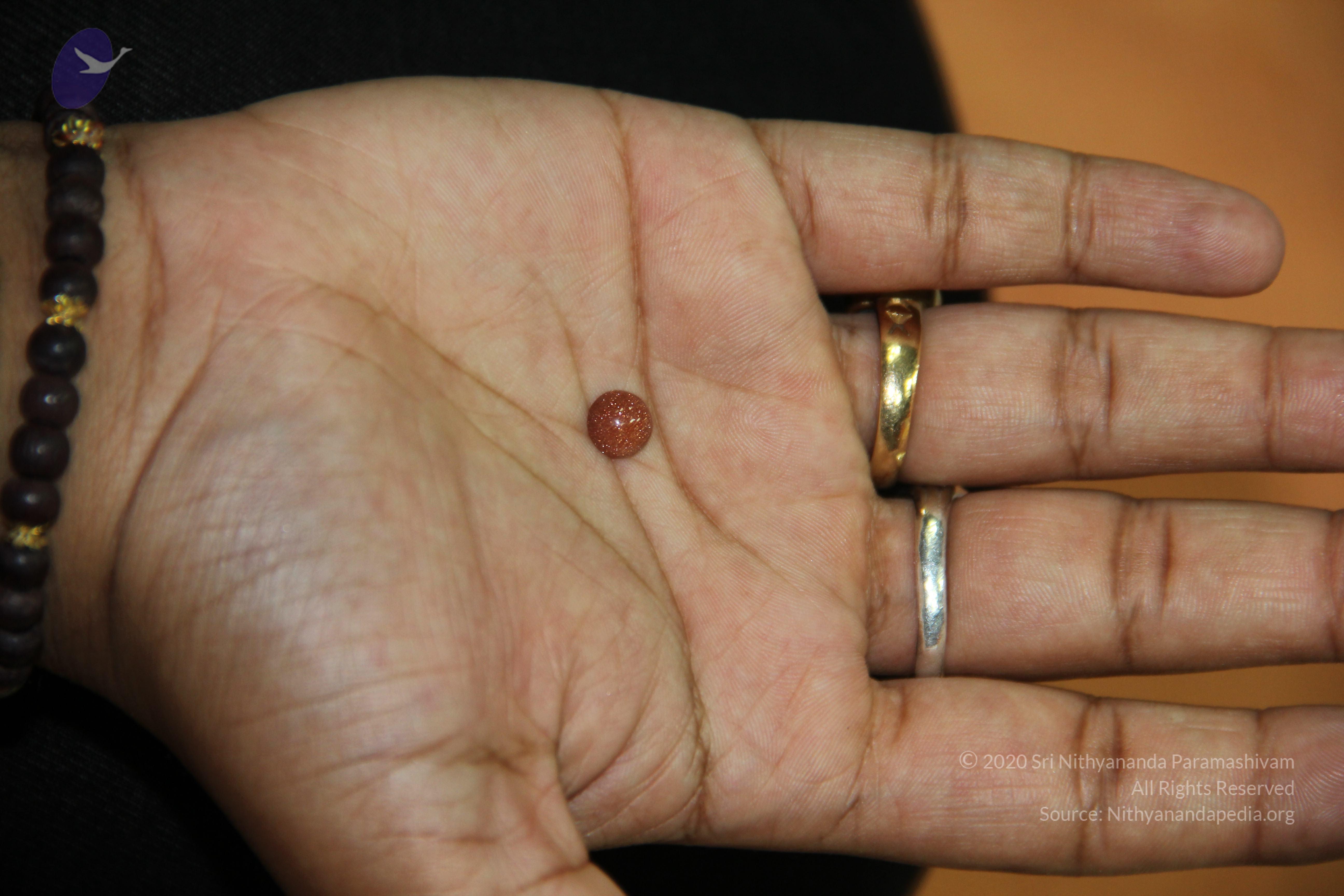 20110828_Photo_1001_IMG_2686_CMP_WM