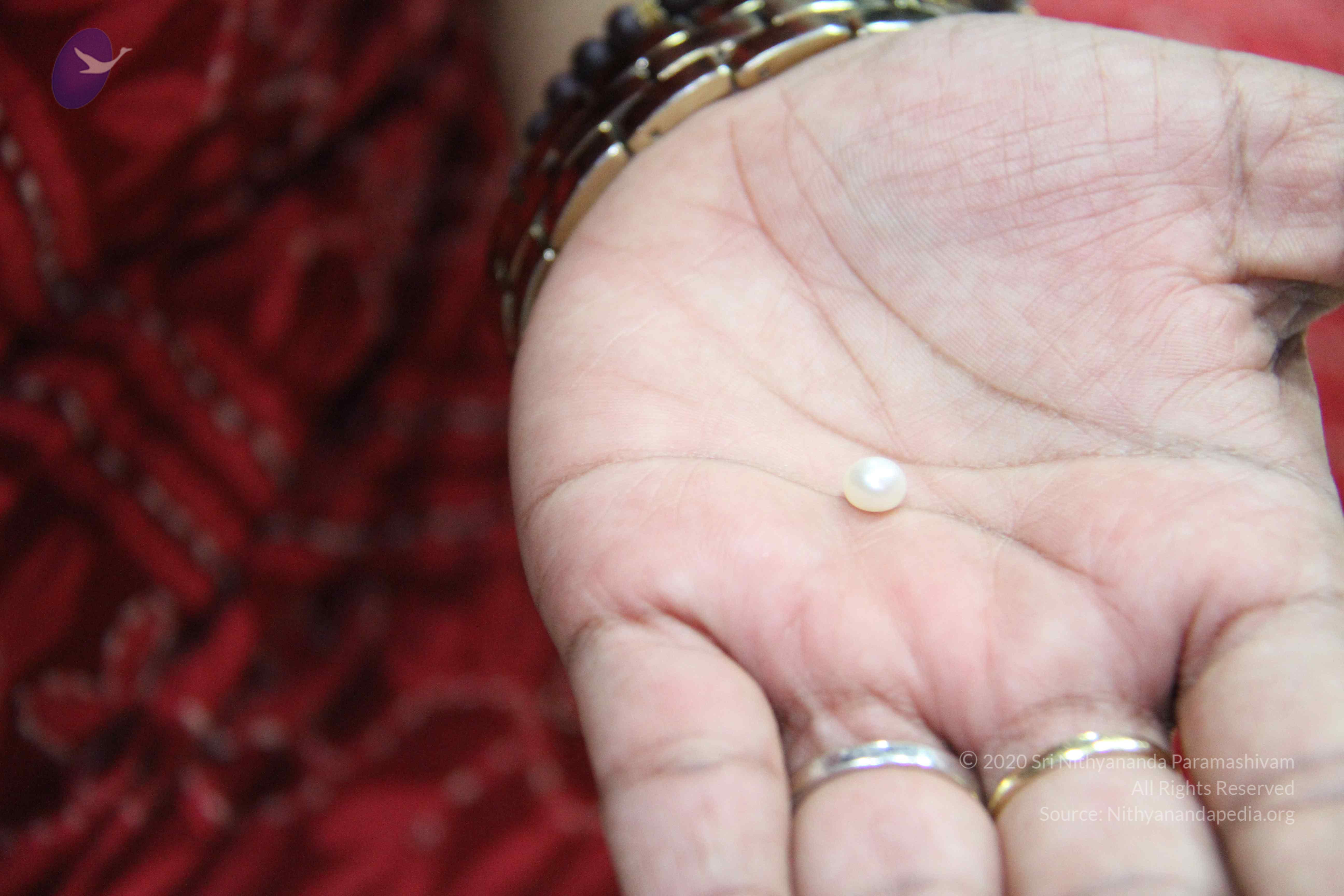 20110828_Photo_1005_IMG_1345_CMP_WM