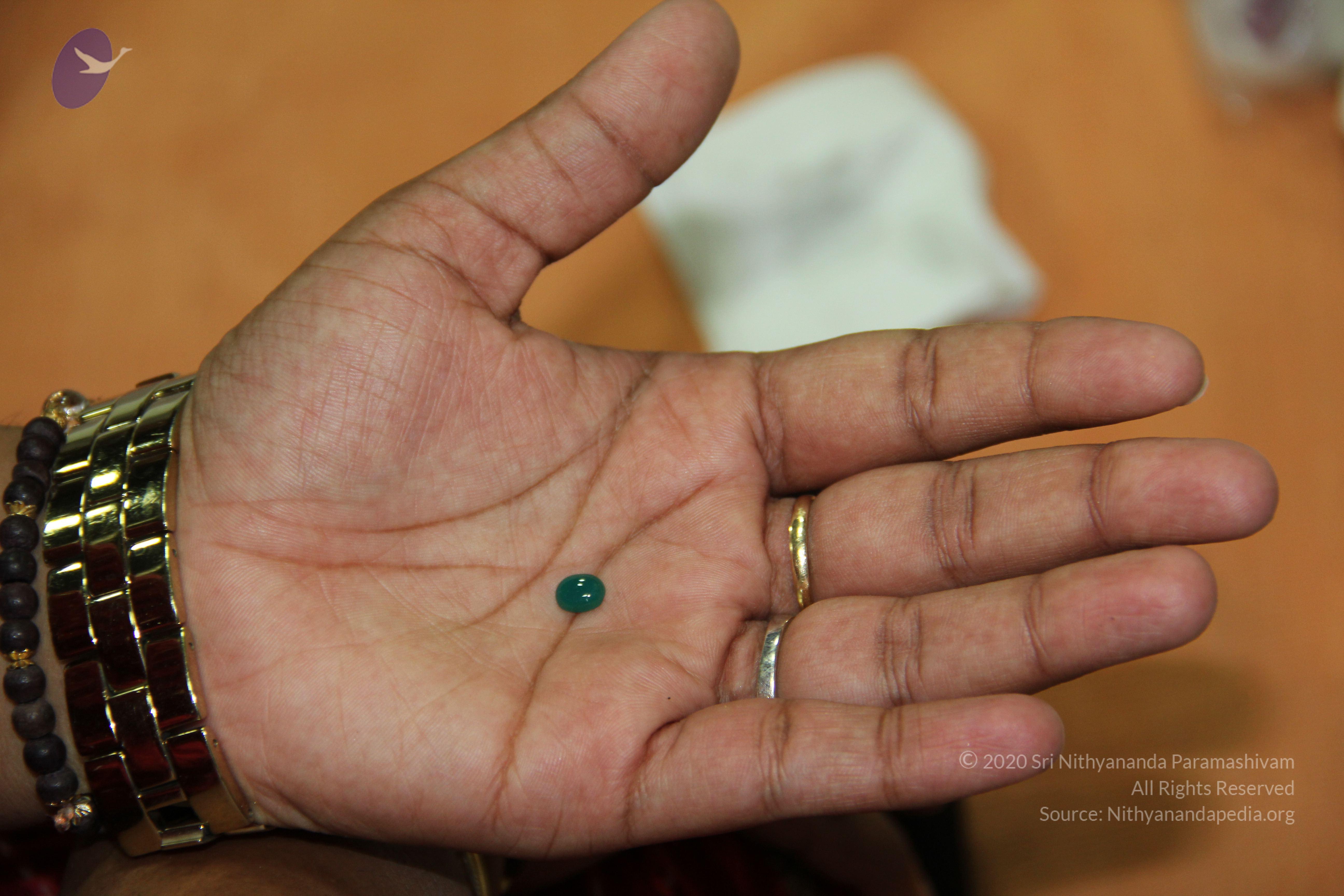 20110828_Photo_1010_IMG_2676_CMP_WM