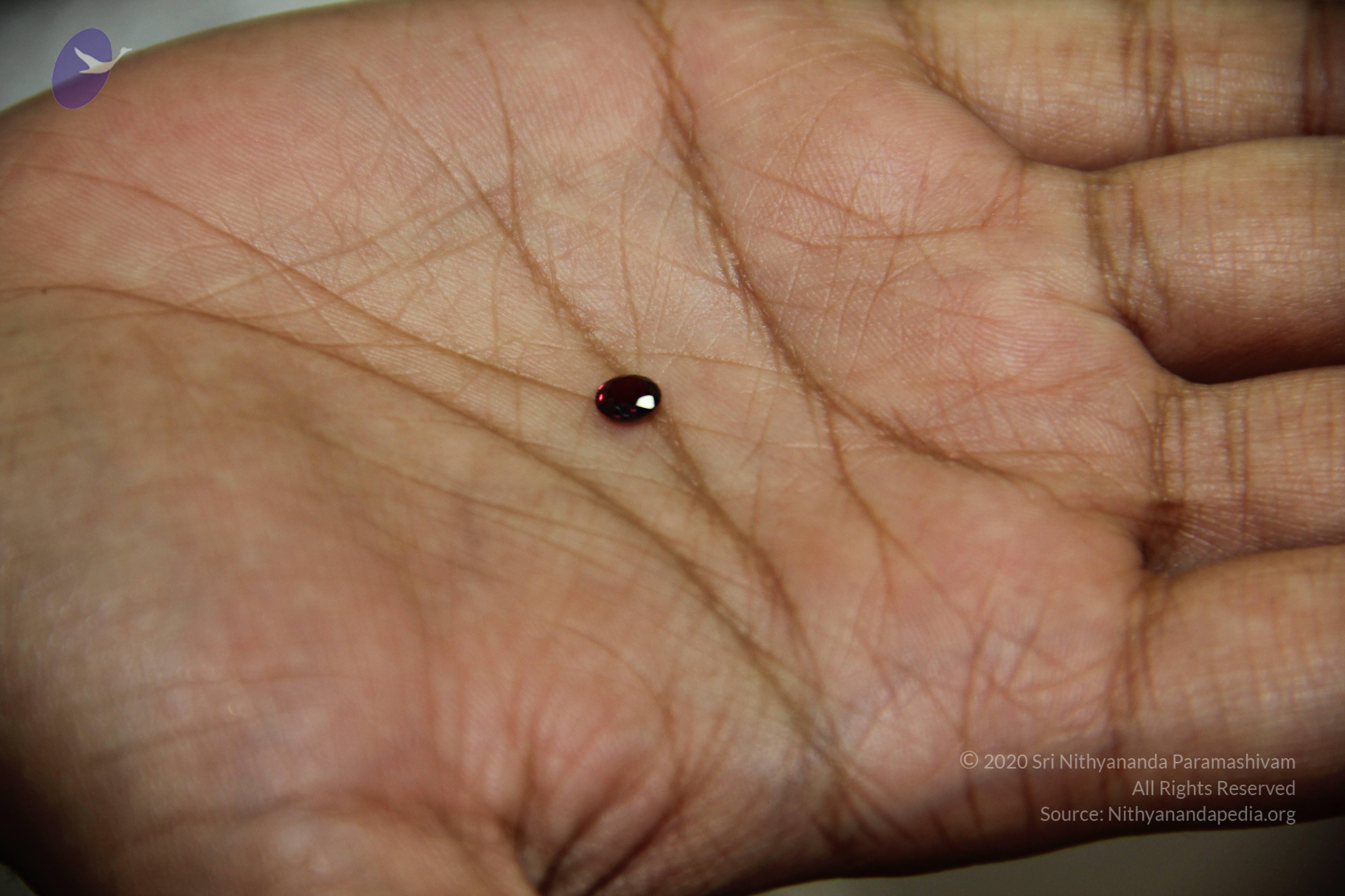 20110828_Photo_1021_IMG_2696_CMP_WM