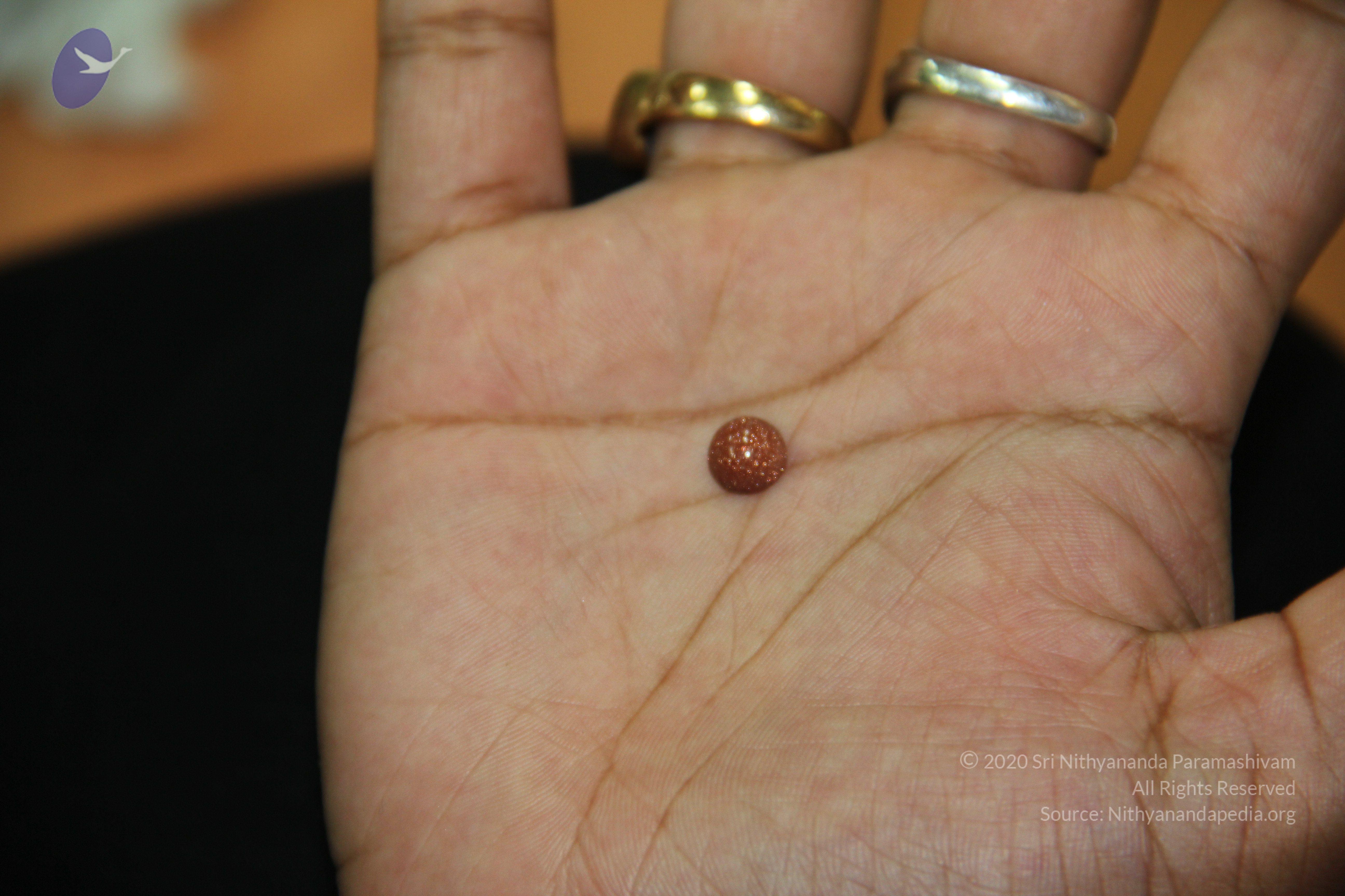 20110828_Photo_1023_IMG_2685_CMP_WM