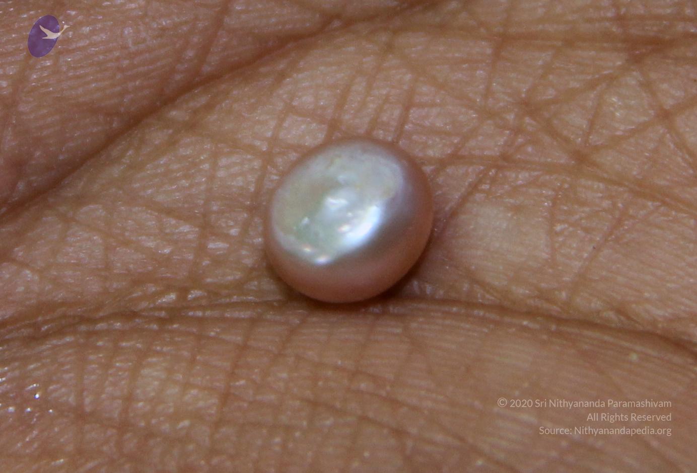 20110828_Photo_1000_51_CMP_WM