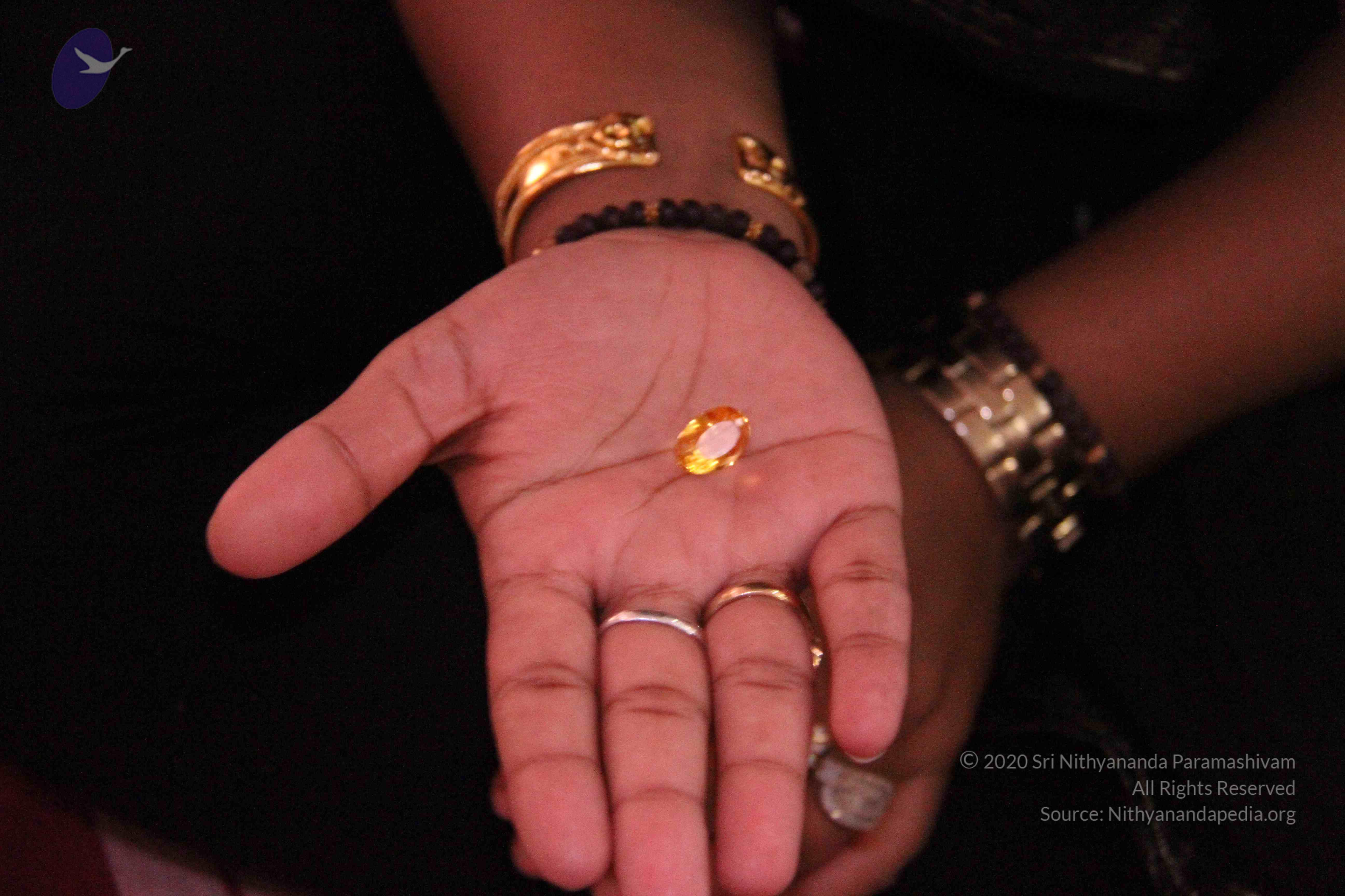 20110828_Photo_1002_IMG_1222_CMP_WM