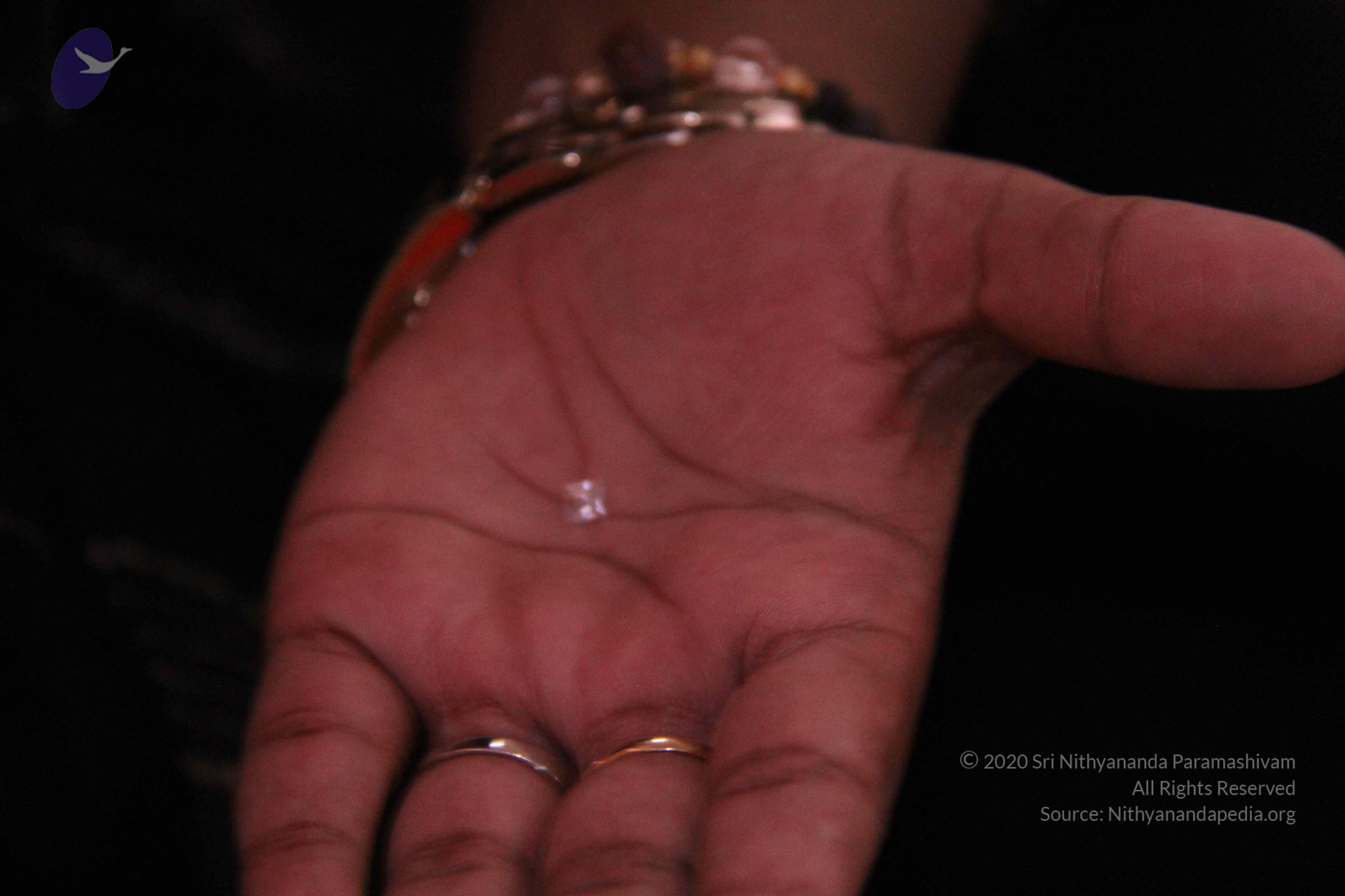 20110828_Photo_1003_IMG_1209_CMP_WM