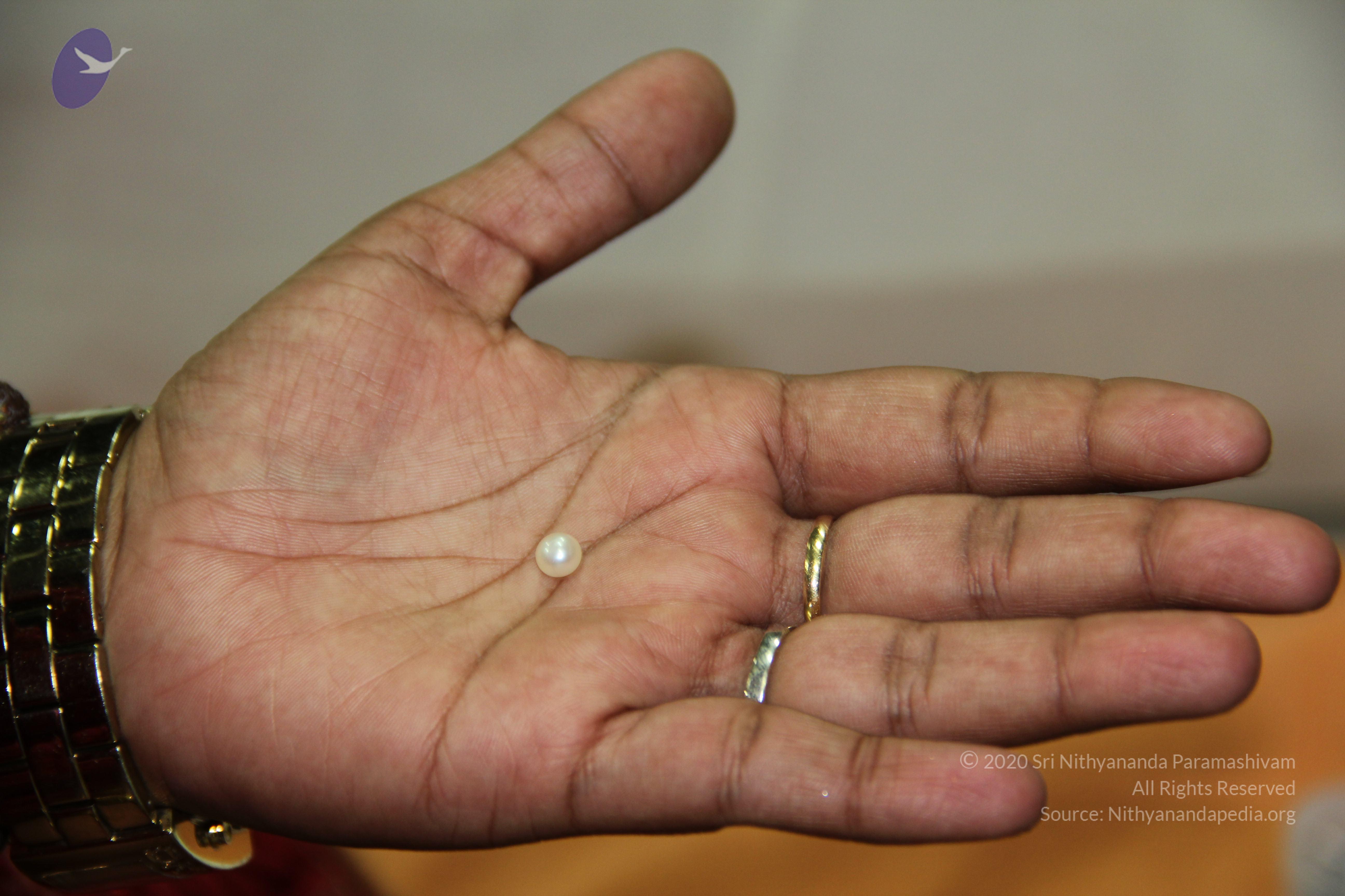 20110828_Photo_1004_IMG_2674_CMP_WM