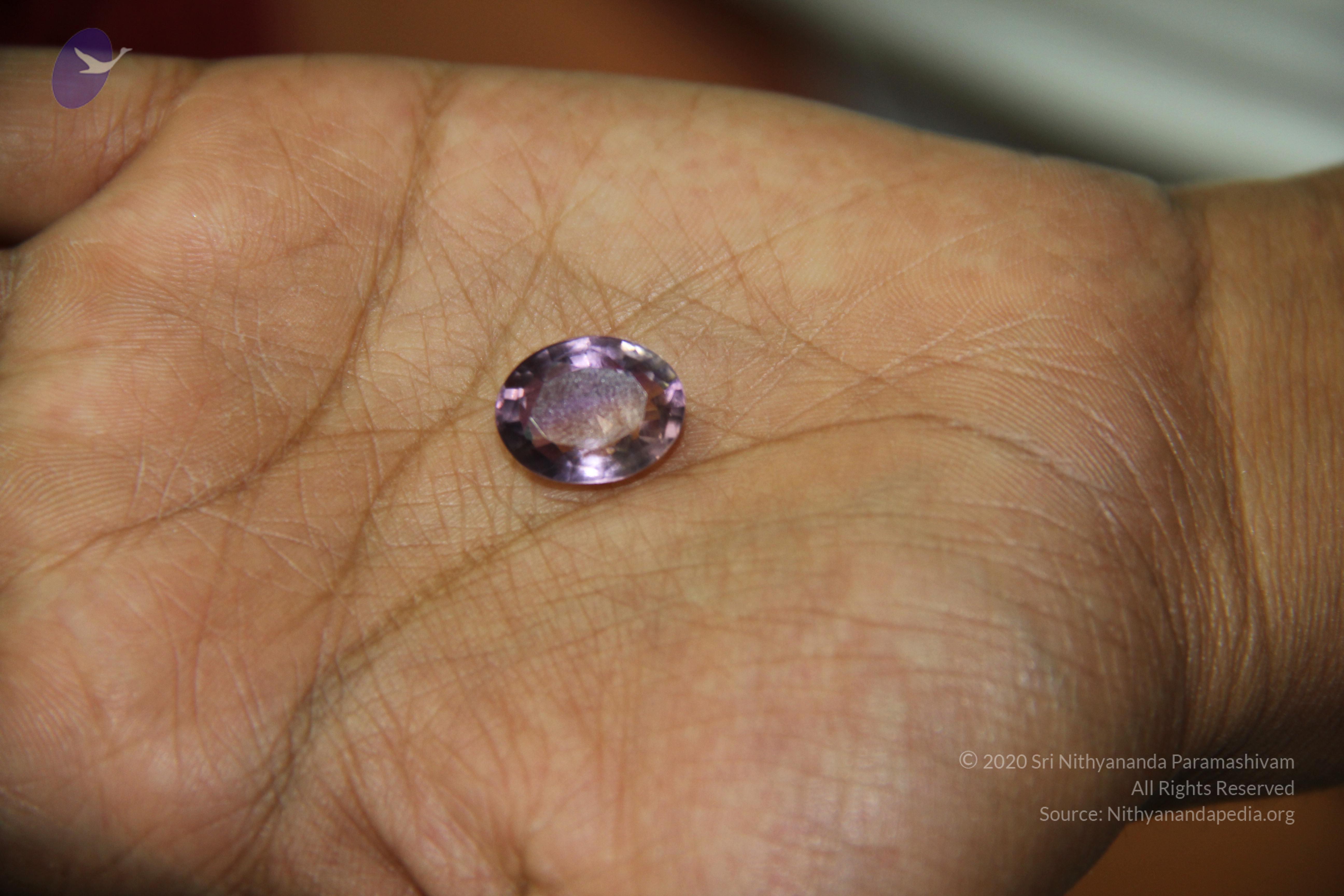 20110828_Photo_1008_IMG_2692_CMP_WM