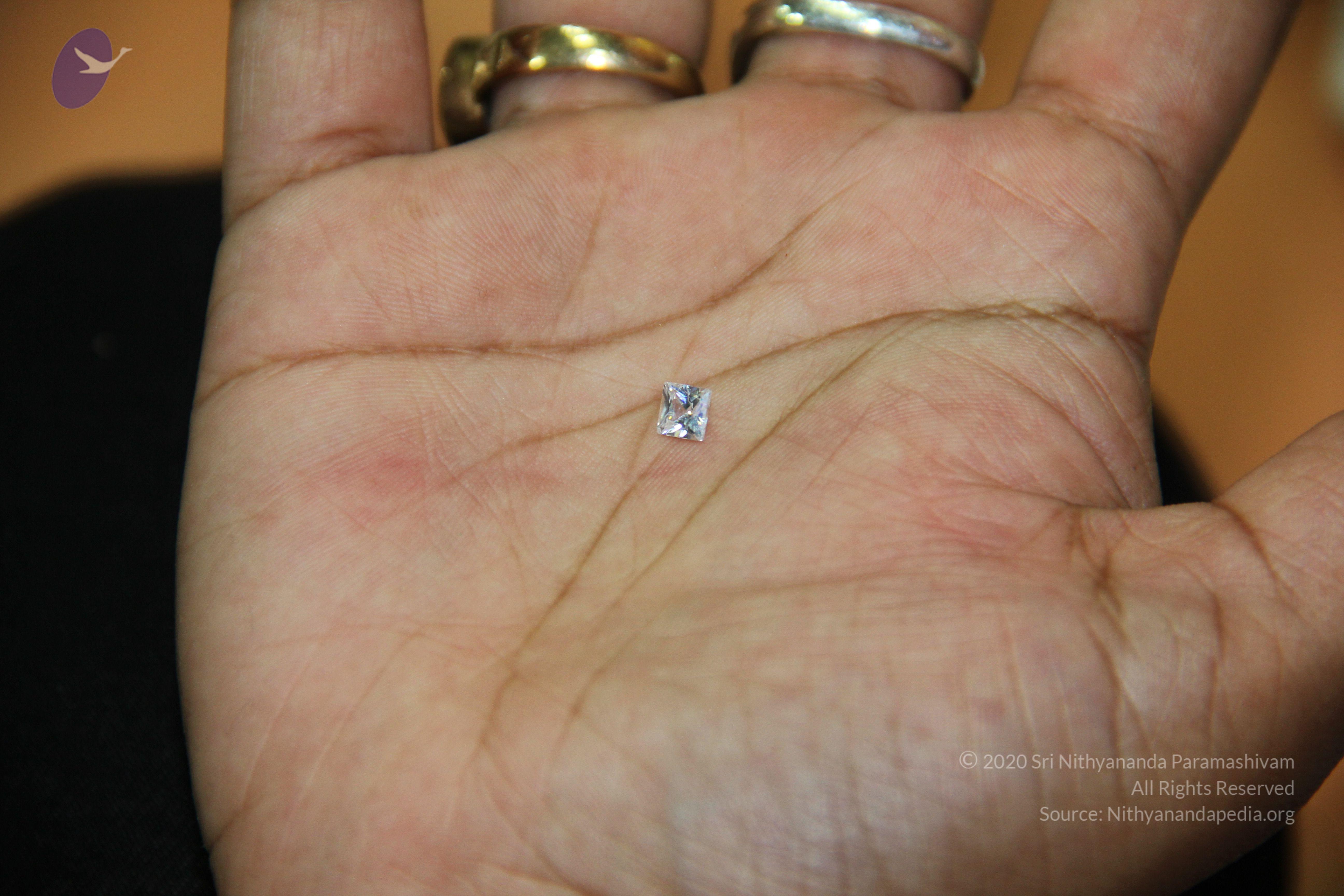 20110828_Photo_1009_IMG_2683_CMP_WM