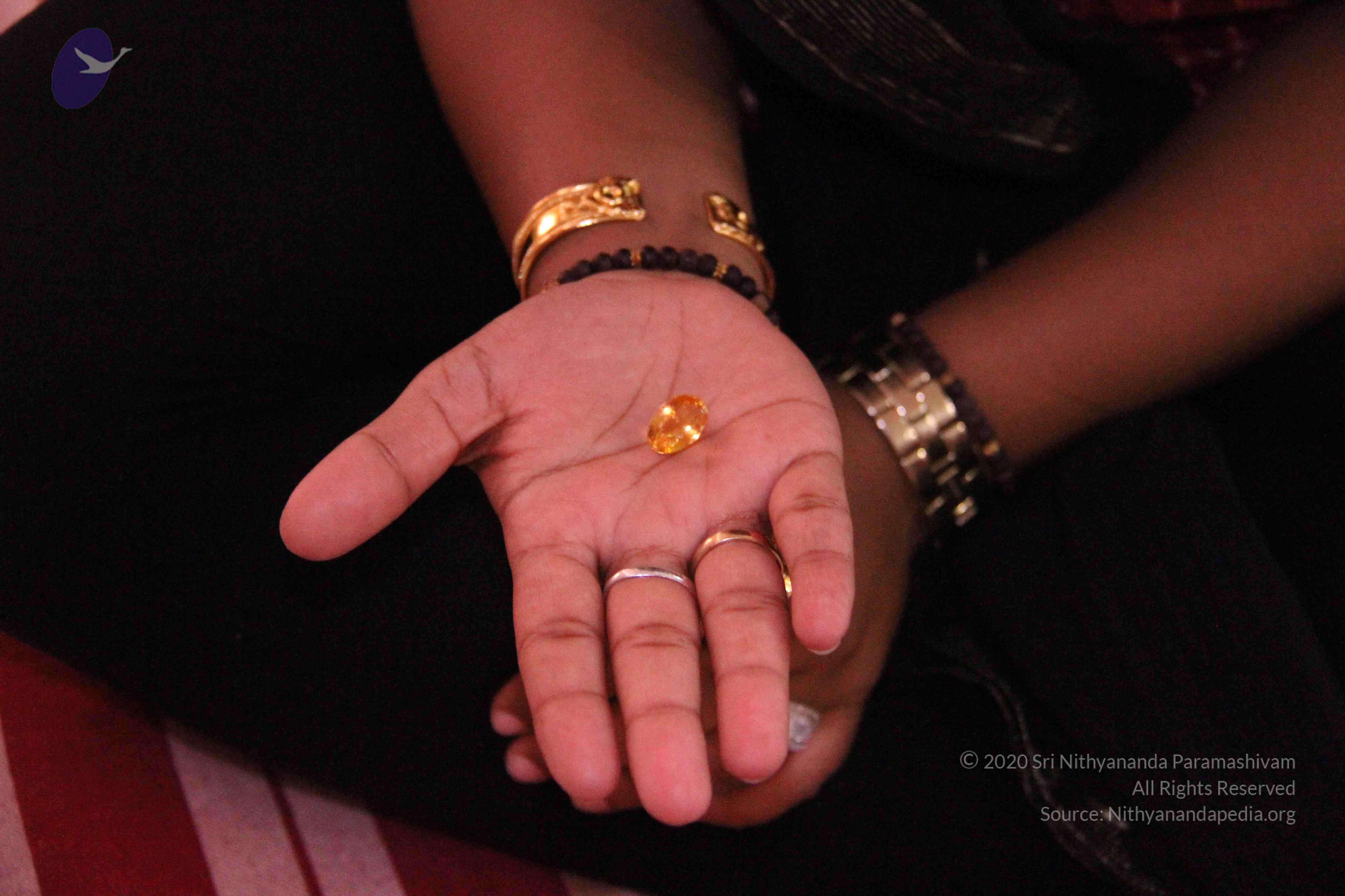 20110828_Photo_1028_IMG_1223_CMP_WM