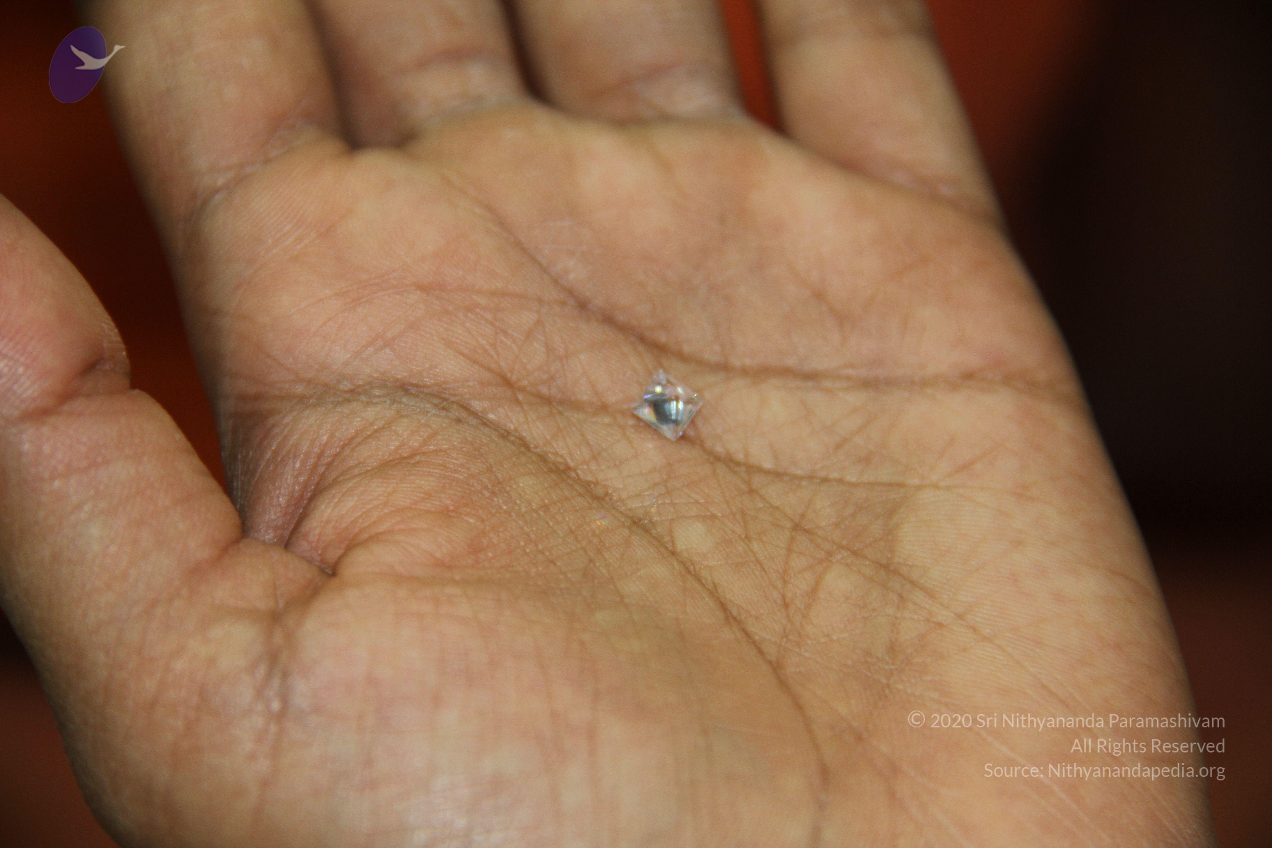 20110828_Photo_1040_IMG_2688_CMP_WM