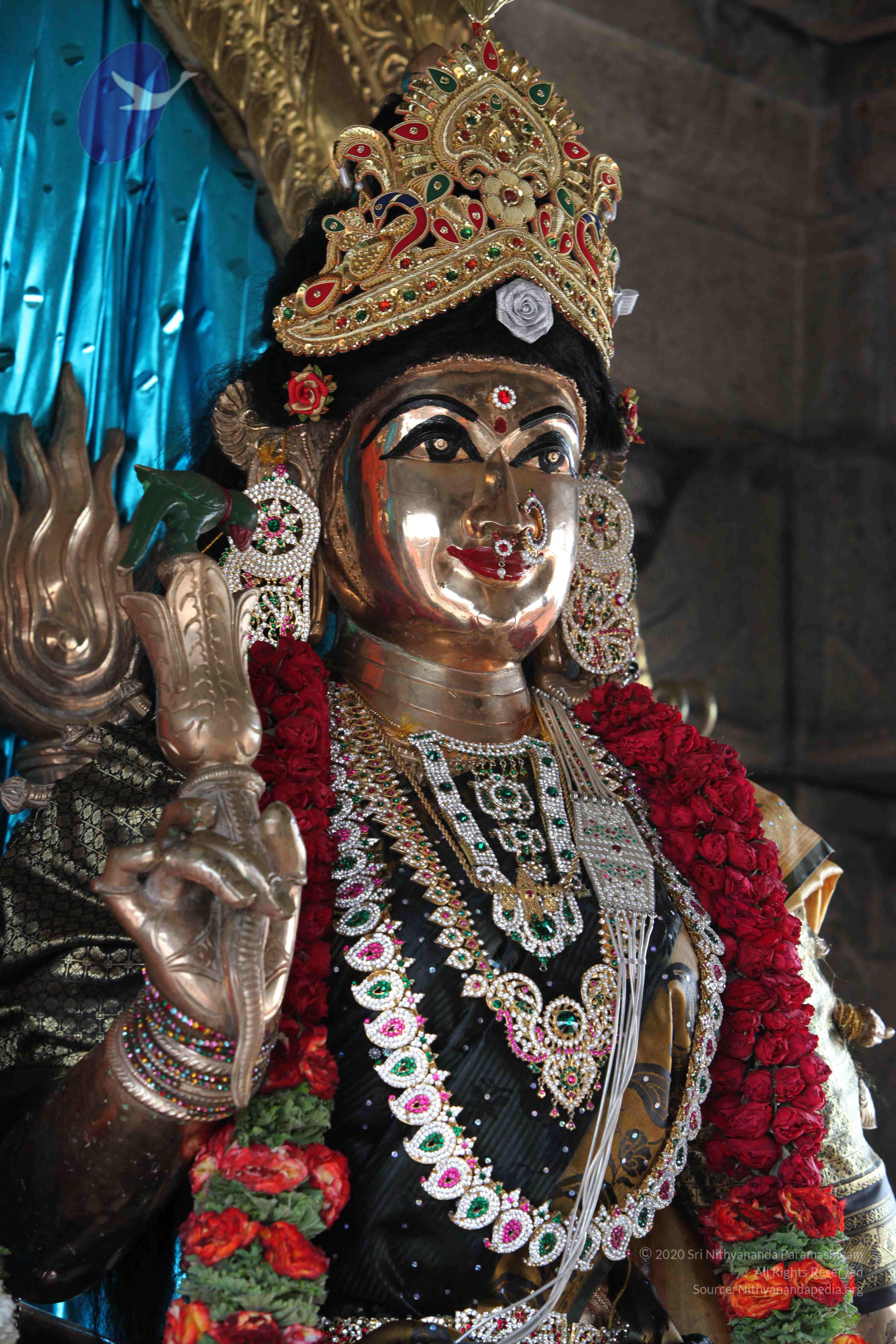 20110828_Photo_1014_IMG_0913_CMP_WM