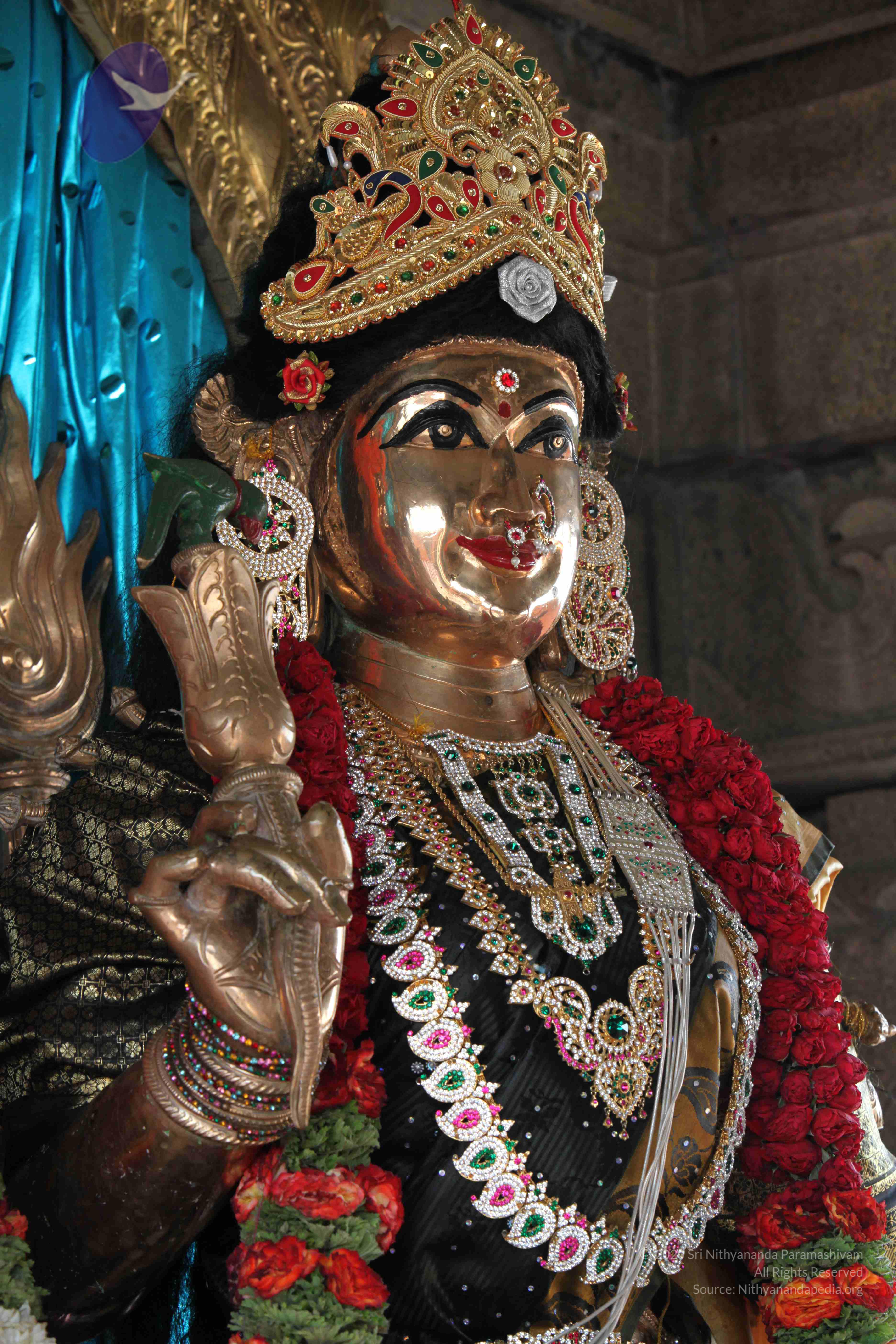 20110828_Photo_1026_IMG_0918_CMP_WM