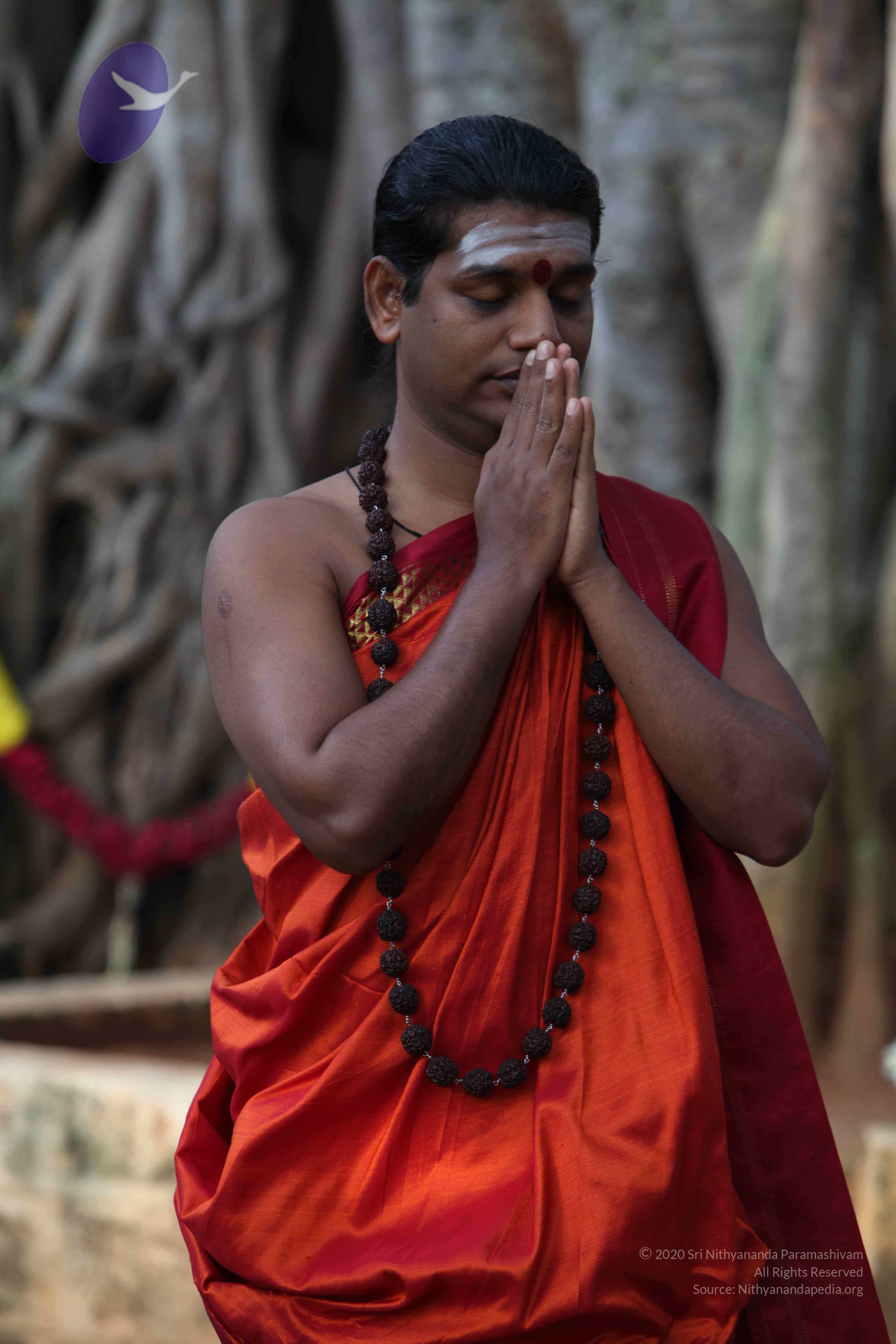 20110828_Photo_1002_IMG_0109_CMP_WM