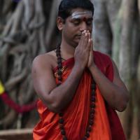 20110828_Photo_1002_IMG_0109_CMP_WM