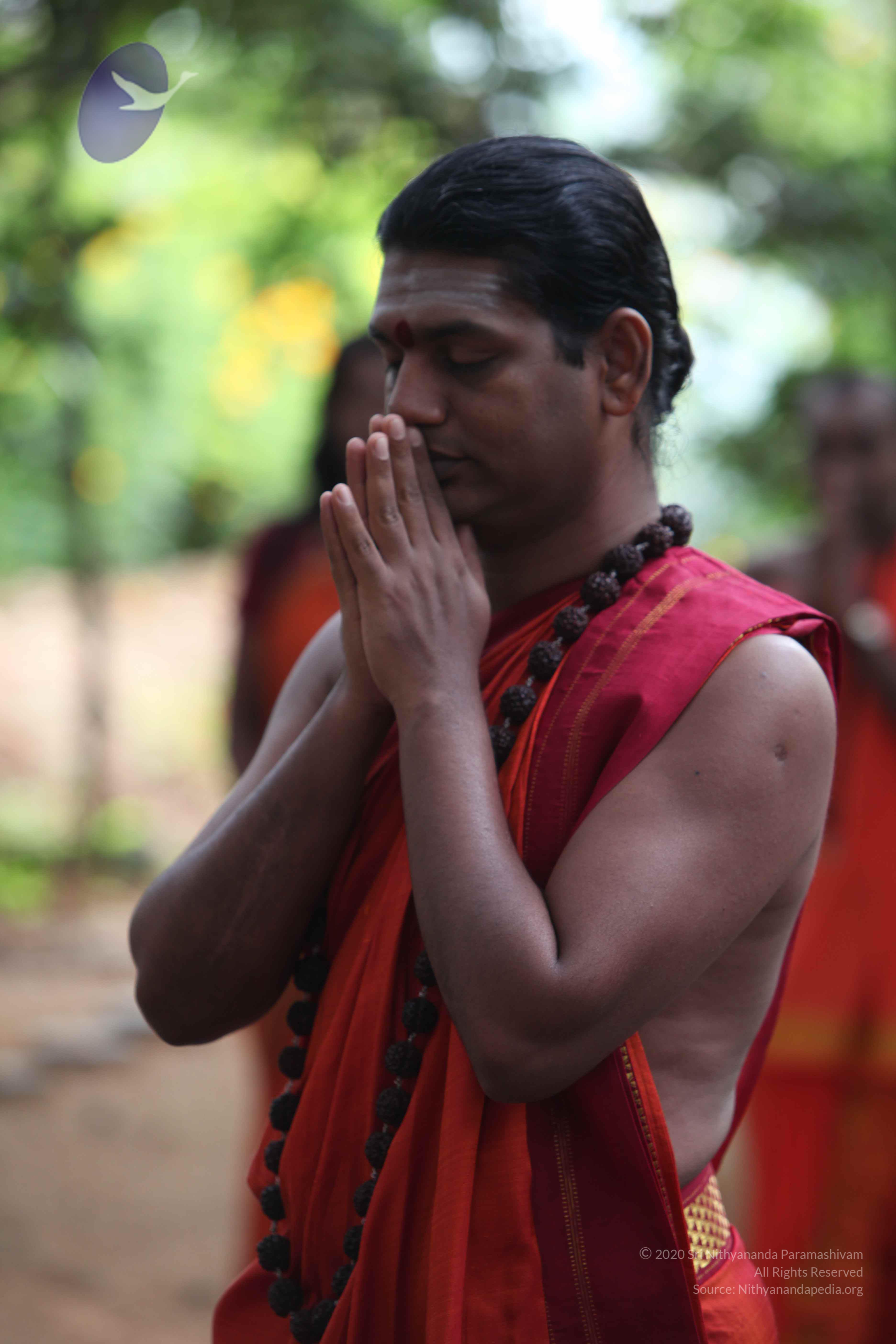 20110828_Photo_1010_IMG_0111_CMP_WM