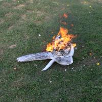 20110828_Photo_1008_IMG_1065_CMP_WM