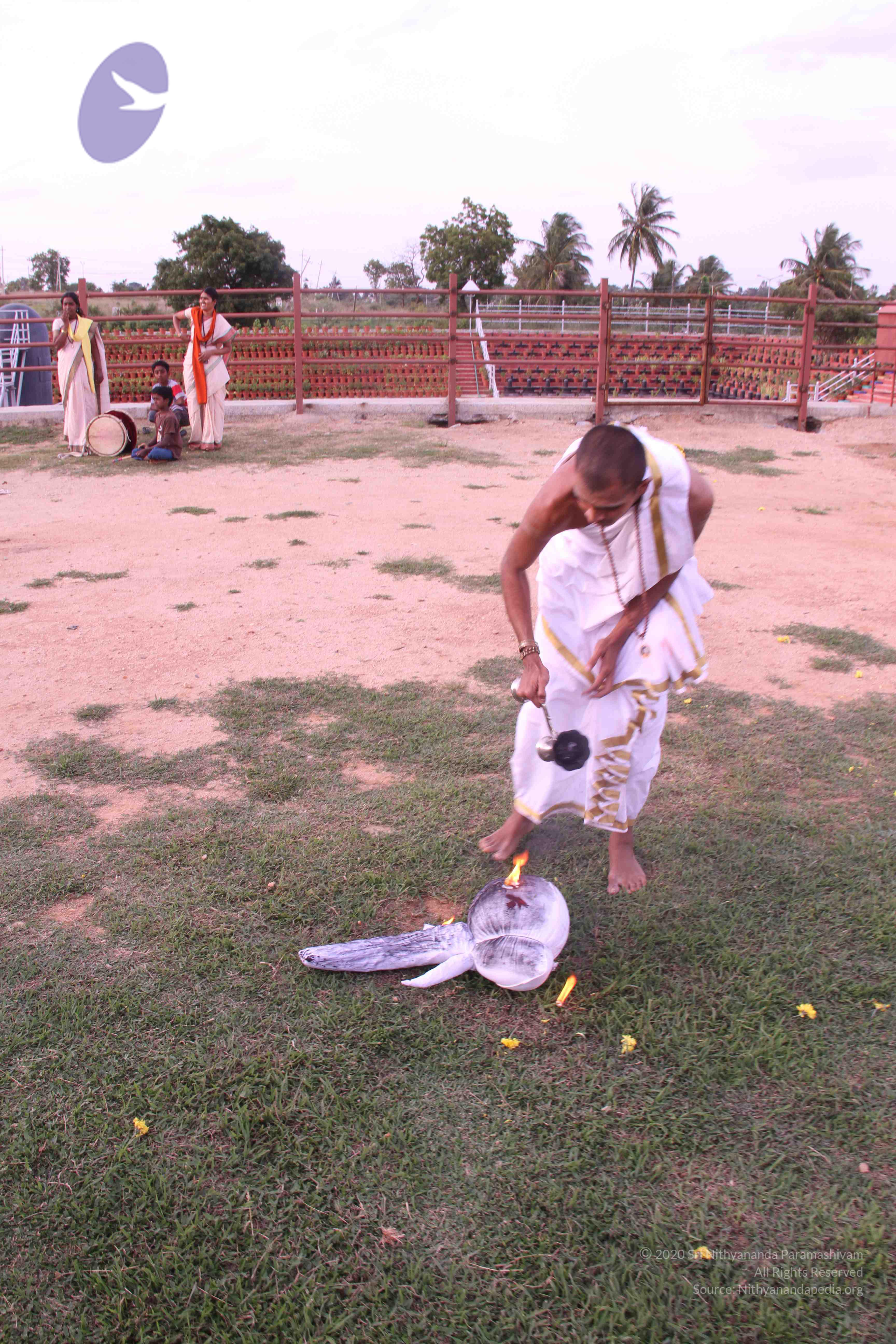 20110828_Photo_1012_IMG_1266_CMP_WM