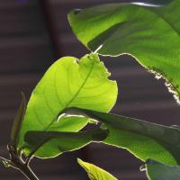 20110828_Photo_1026_IMG_0949_CMP_WM