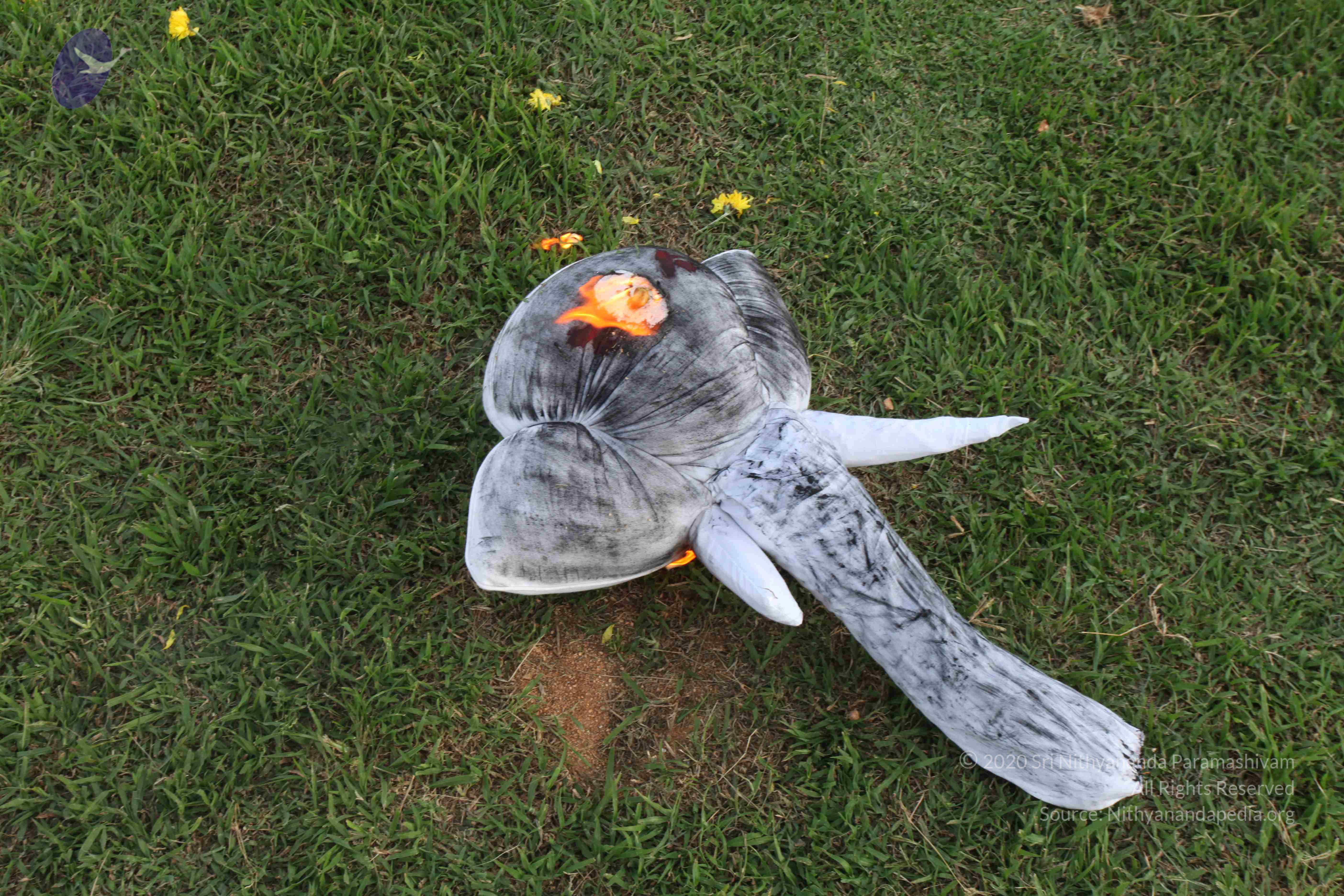 20110828_Photo_1055_IMG_1058_CMP_WM