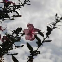 20110828_Photo_1073_IMG_0951_CMP_WM