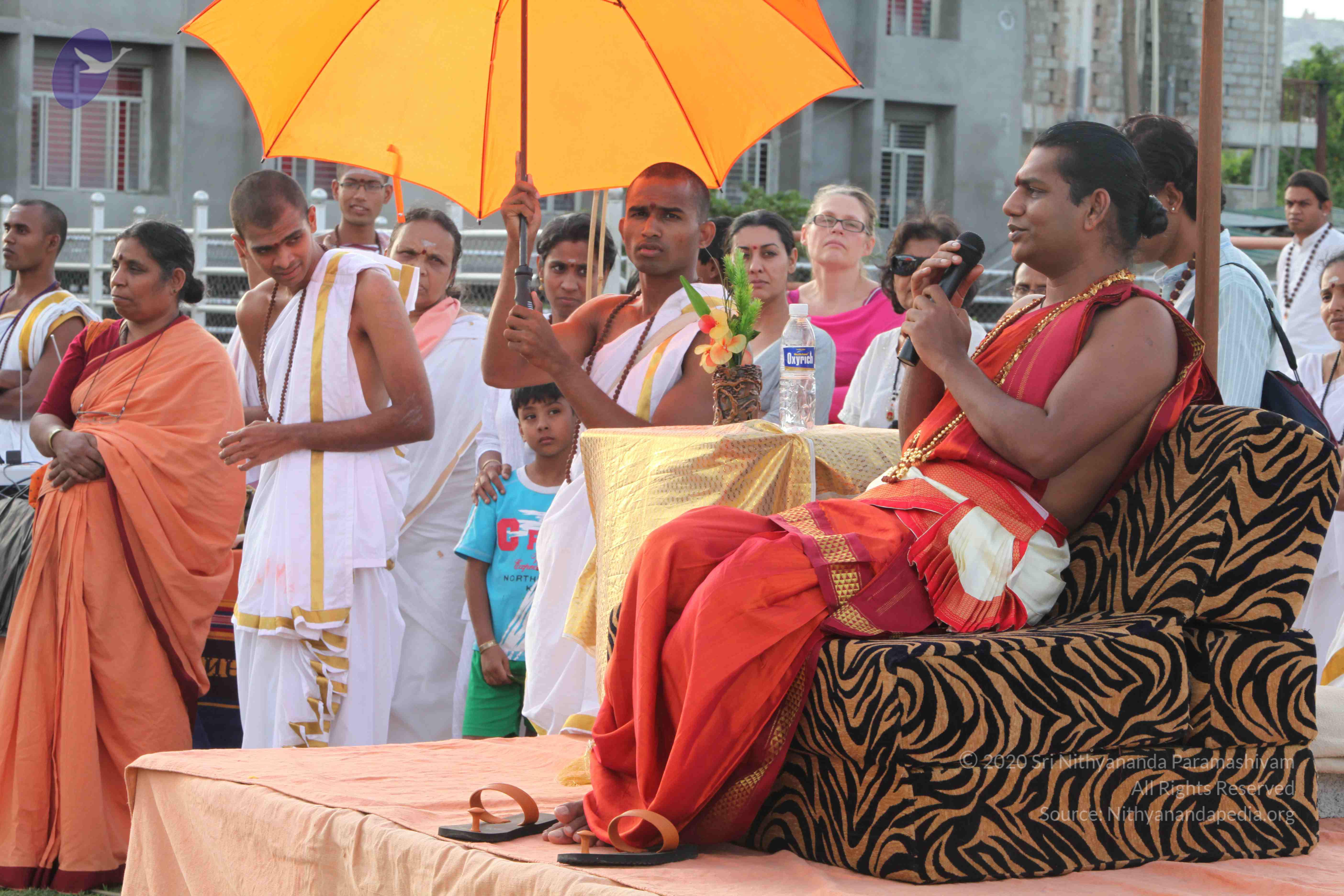 20110828_Photo_1074_IMG_1020_CMP_WM