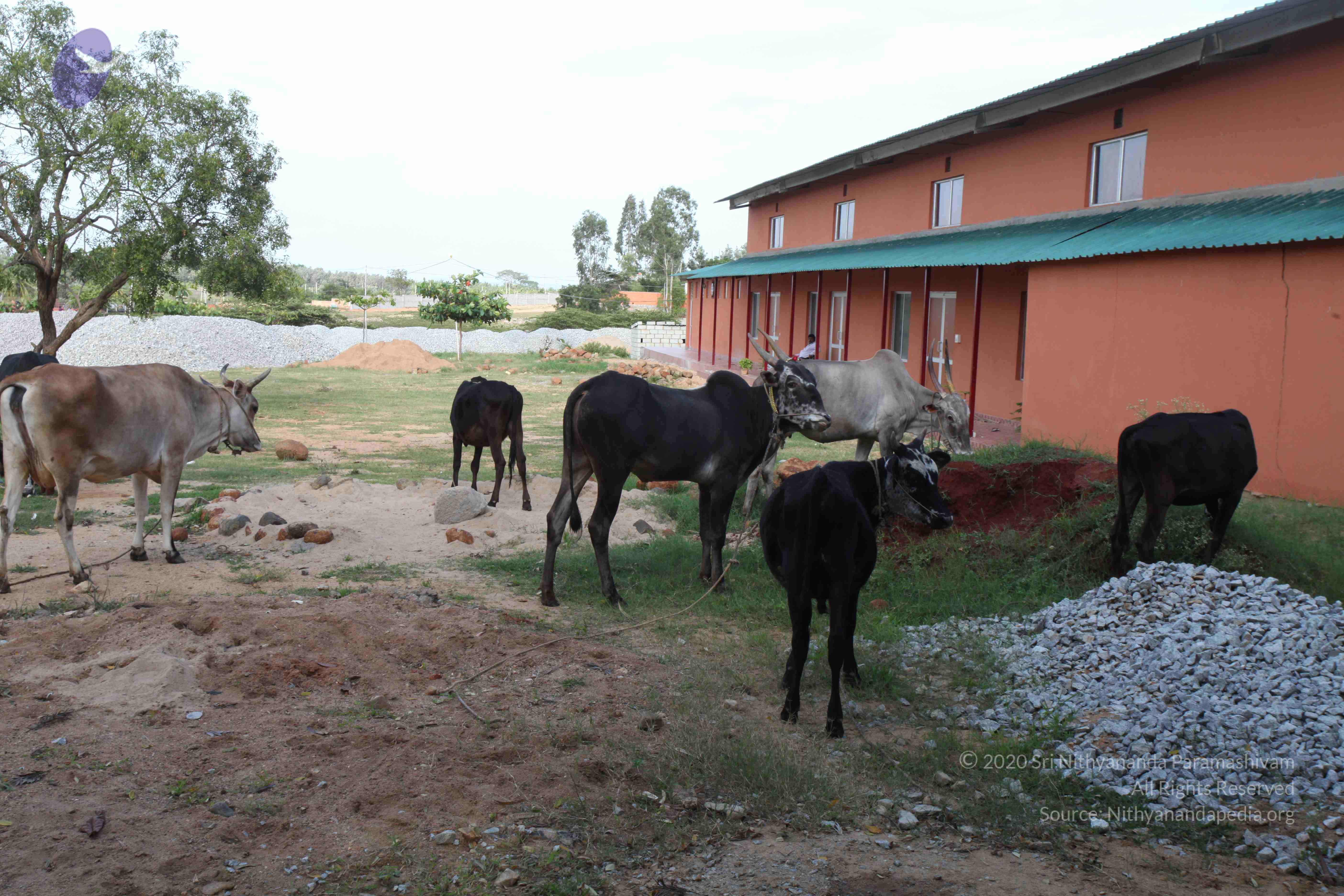 20110828_Photo_1076_IMG_0985_CMP_WM