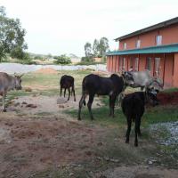 20110828_Photo_1076_IMG_0985_CMP_WM