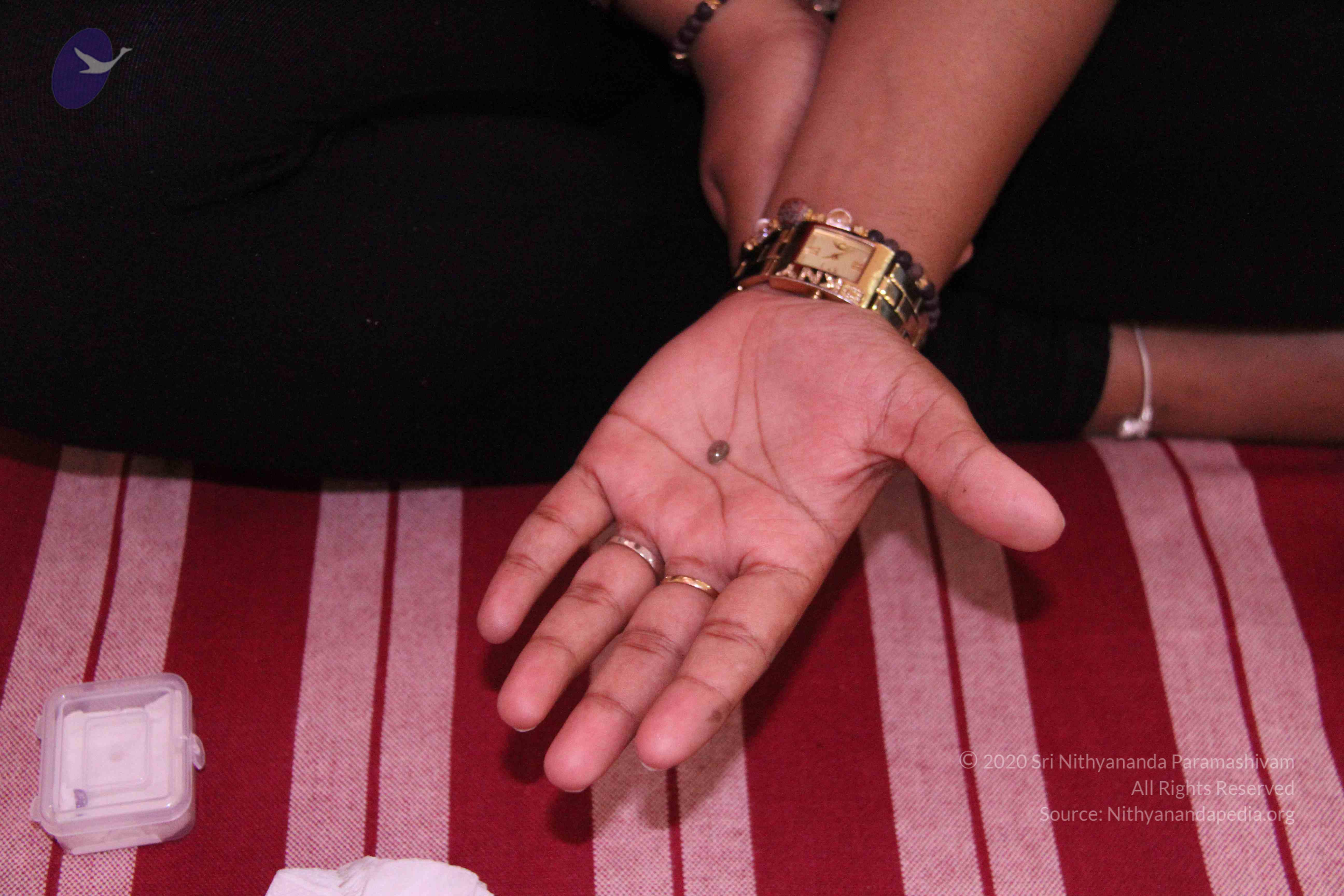 20110828_Photo_1002_IMG_1245_CMP_WM